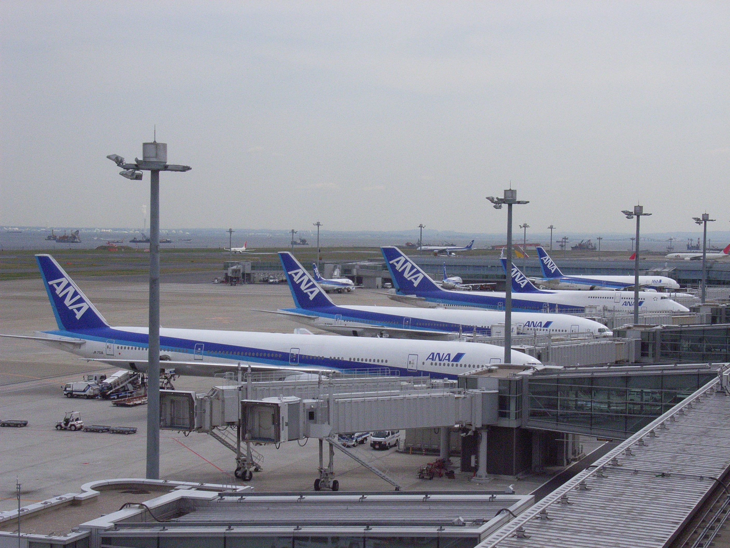 空港 ターミナル 2 羽田 第 羽田空港のANA便は原則第2ターミナルから！搭乗時に気を付けたいこと