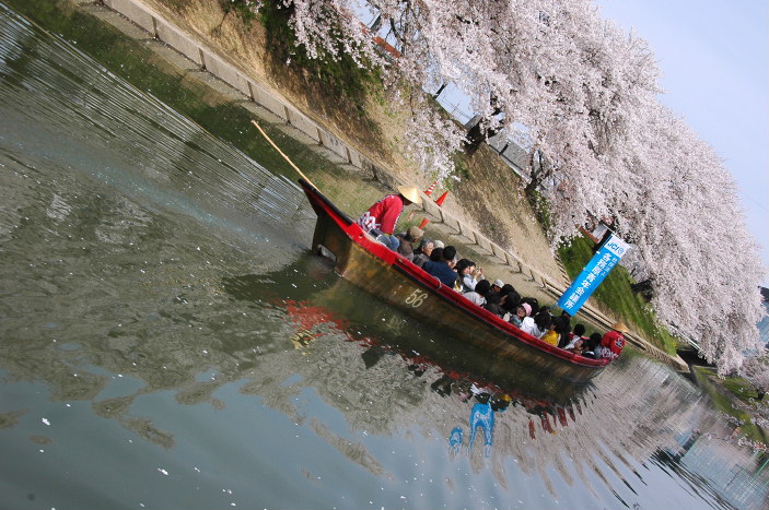 各務原市桜まつり その2 桜と桜観覧船 各務原 岐阜県 の旅行記 ブログ By 風に吹かれて旅人さん フォートラベル