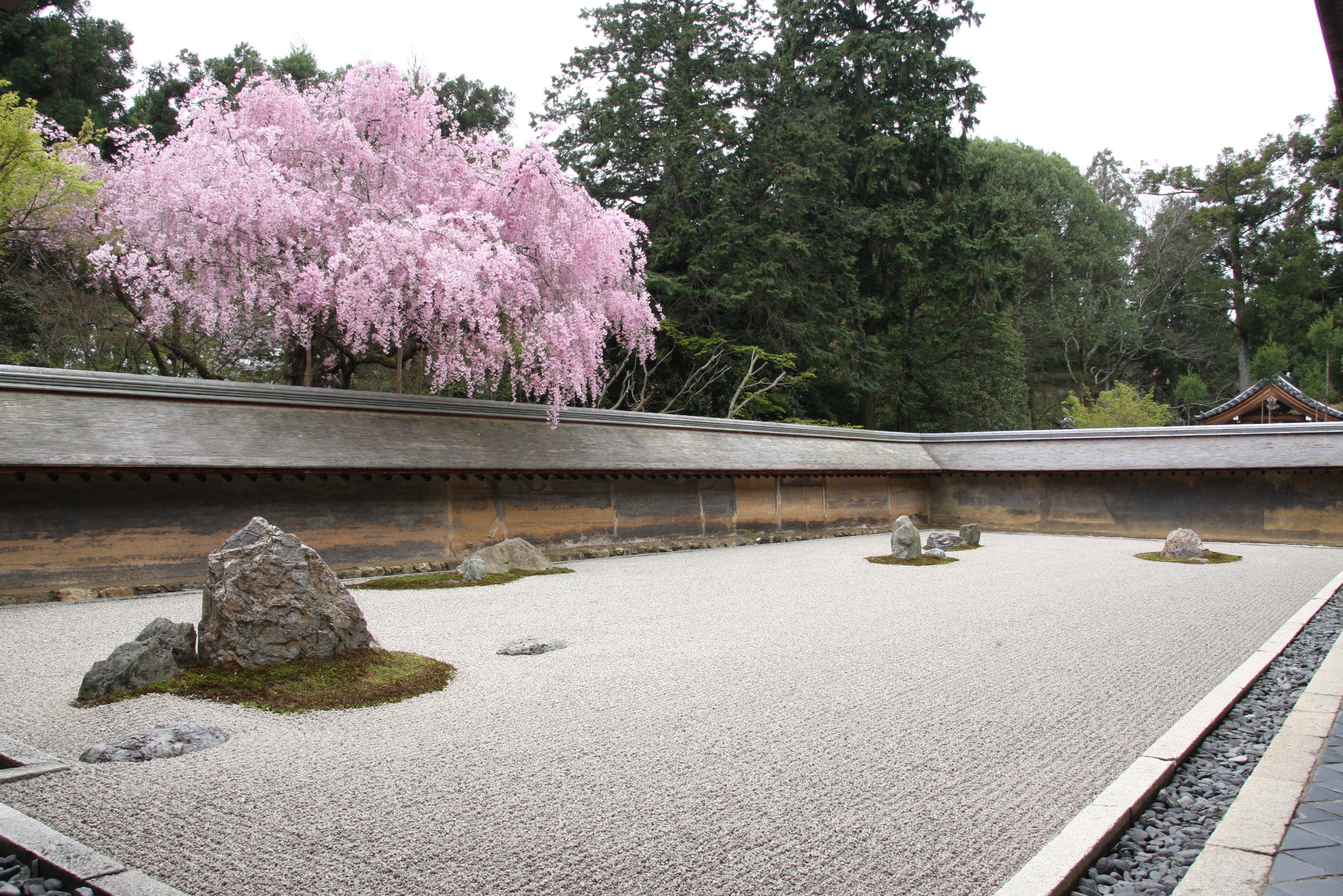 京都のお花見 龍安寺 平野神社 今出川 北大路 北野 京都 の旅行記 ブログ By Morino296さん フォートラベル 京都のお花見 龍安寺 平野神社 今出川 北大路 北野 京都 の旅行記 ブログ By Morino296さん フォートラベル