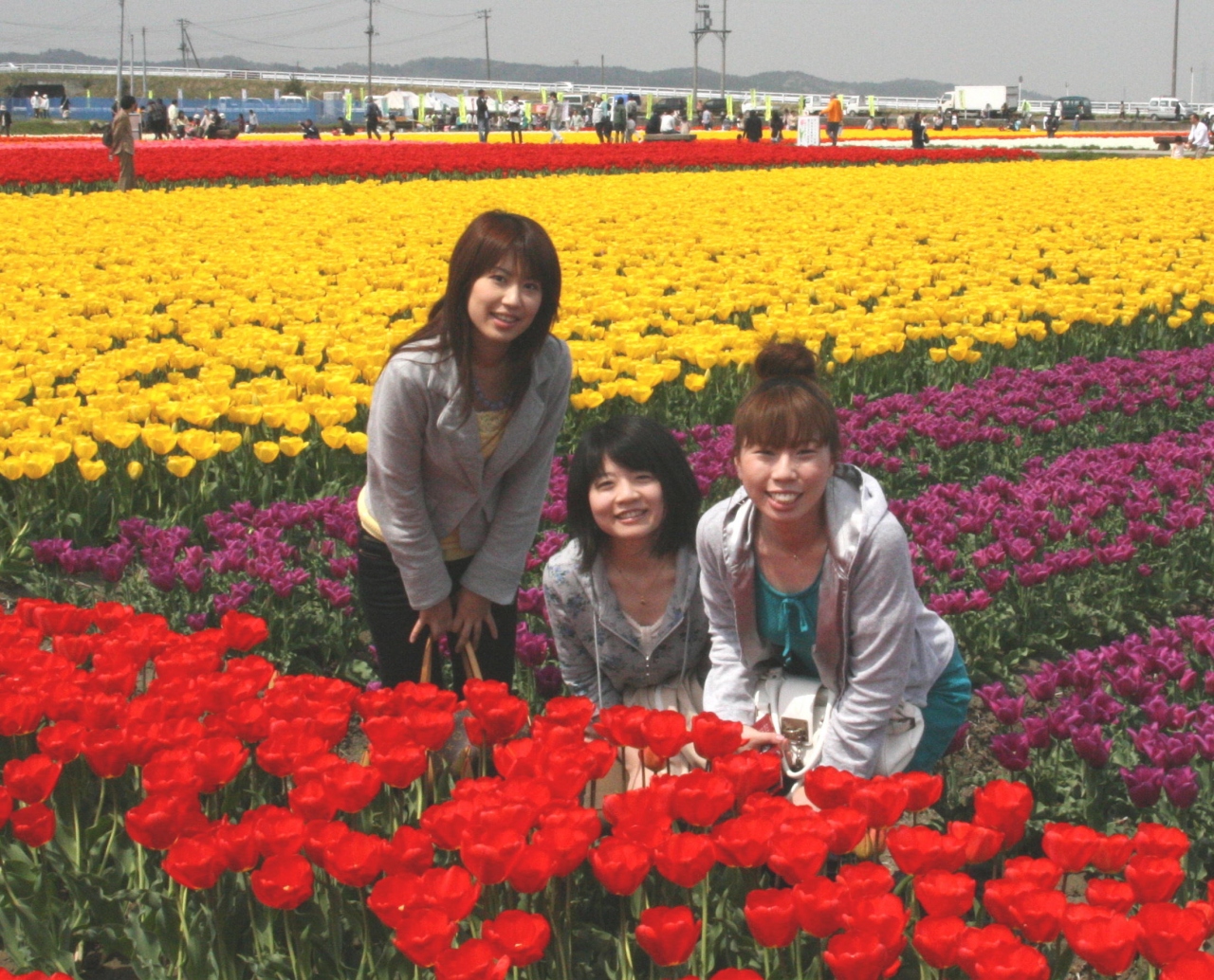 五泉市チューリップまつり 新潟県五泉市巣本地区 新潟県の旅行記 ブログ By しんちゃんさん フォートラベル 五泉市チューリップまつり 新潟県五泉市巣本地区 新潟県の旅行記 ブログ By しんちゃんさん フォートラベル