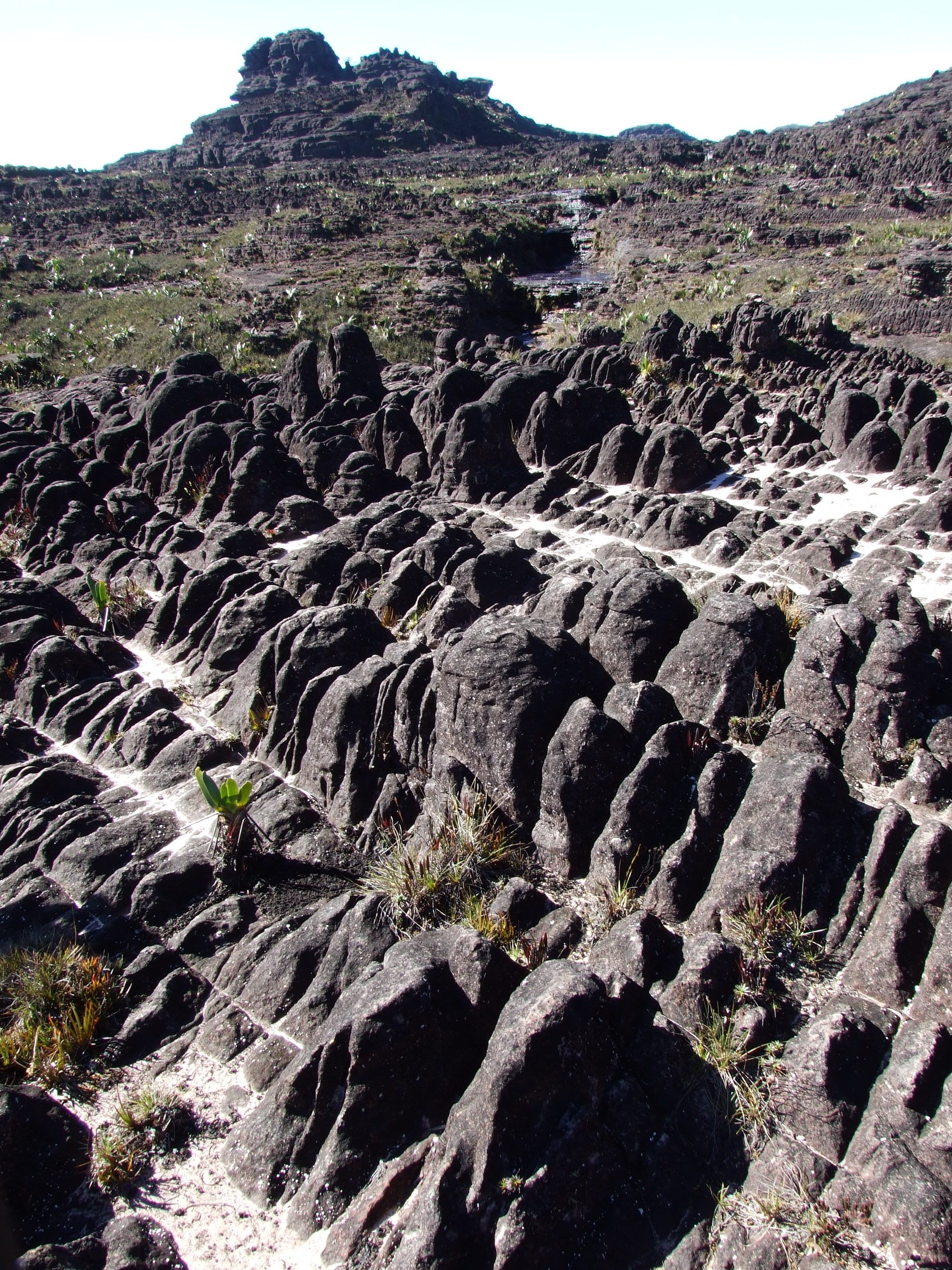 南米縦断の旅 ベネスエラ ギアナ高地 Part2 ギアナ高地周辺 ベネズエラ の旅行記 ブログ By ホットマン2世さん フォートラベル 南米縦断の旅 ベネスエラ ギアナ高地 Part2 ギアナ高地周辺 ベネズエラ の旅行記 ブログ By ホットマン2世さん フォートラベル