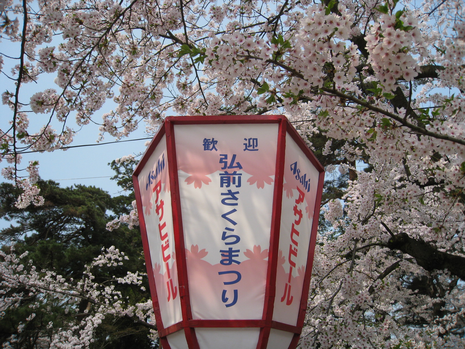 ぷらっと弘前 花見で黒こんにゃく 弘前 青森県 の旅行記 ブログ By 下山正志さん フォートラベル ぷらっと弘前 花見で黒こんにゃく 弘前 青森県 の旅行記 ブログ By 下山正志さん フォートラベル