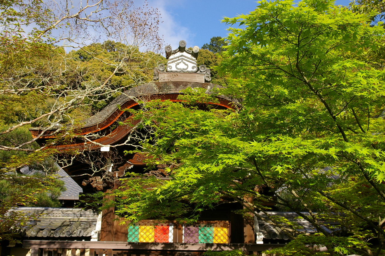 京都漫ろ歩き 春ももみじの永観堂 京都の旅行記 ブログ By Jyugonさん フォートラベル