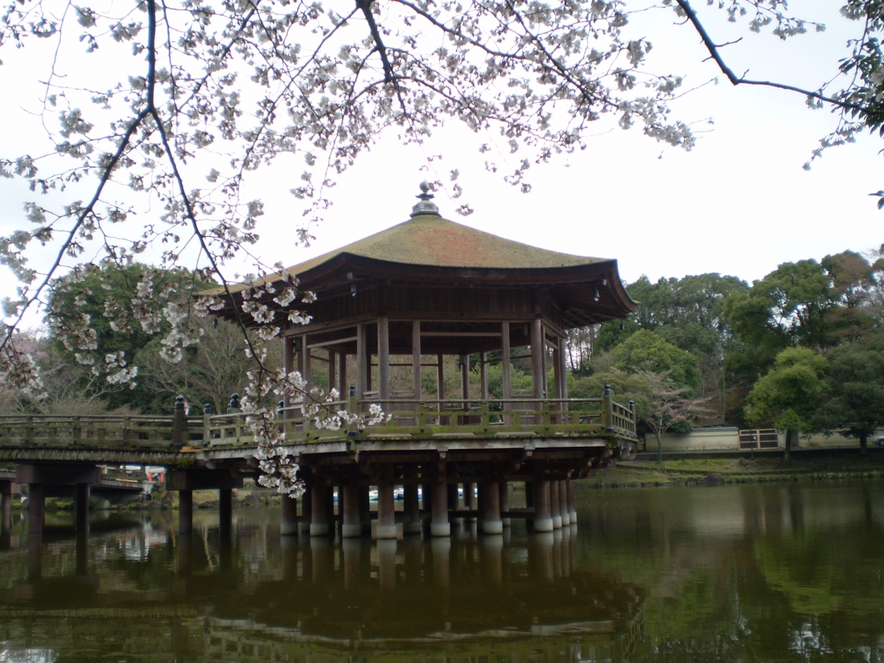 再び奈良公園 江戸三 浮見堂 そしてまた鹿と 奈良市 奈良県 の旅行記 ブログ By 前日光さん フォートラベル 再び奈良公園 江戸三 浮見堂 そしてまた鹿と 奈良市 奈良県 の旅行記 ブログ By 前日光さん フォートラベル