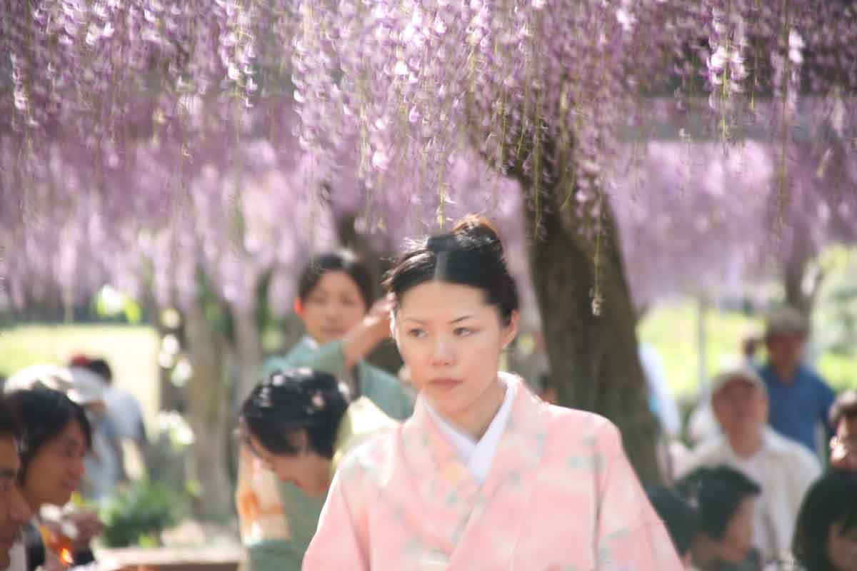 藤の花が咲き乱れる蓮花寺池公園 藤枝 岡部 静岡県 の旅行記 ブログ By てんとう虫さん フォートラベル 藤の花が咲き乱れる蓮花寺池公園 藤枝 岡部 静岡県 の旅行記 ブログ By てんとう虫さん フォートラベル