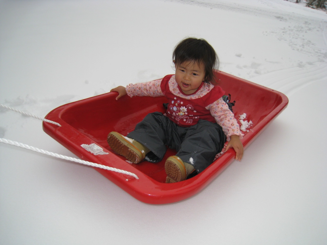 北海道３日間 ラビスタ大雪山 周辺で雪遊び ２００８年gw 旭川 北海道 の旅行記 ブログ By 諒さん フォートラベル