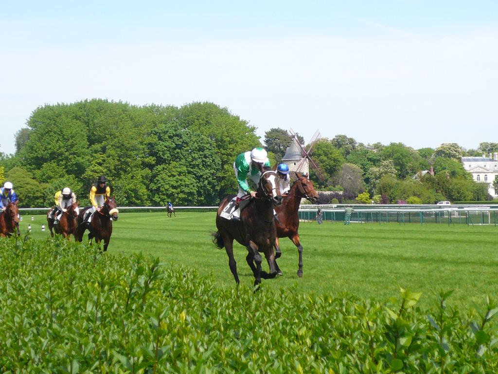 2008年GW パリとベルギーの競馬場巡り5【4日目:パリ・ロンシャン競馬場】