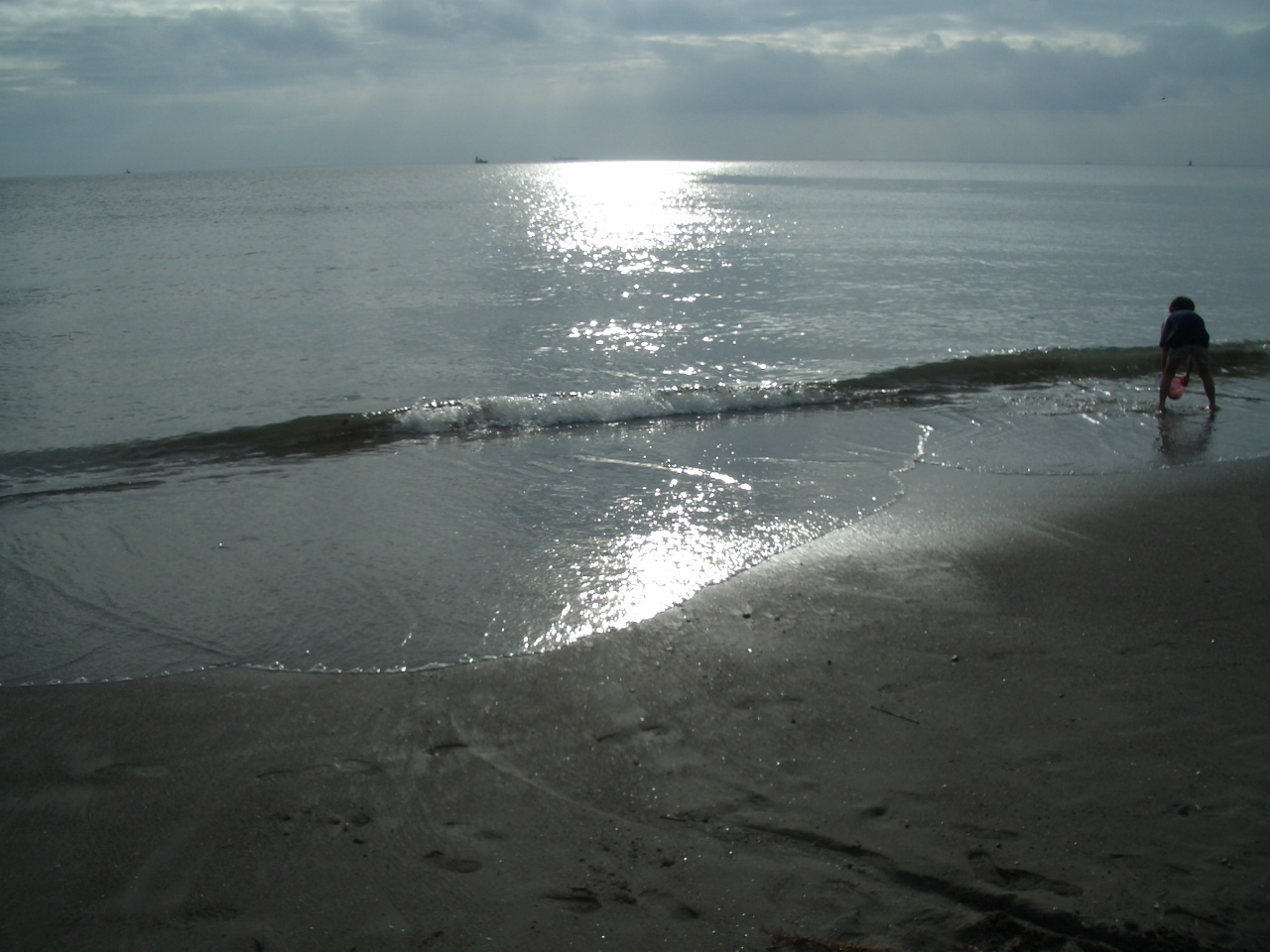 ２００８ 岩井海岸ｄe地引網 富浦 富山 千葉県 の旅行記 ブログ By すぽんじさん フォートラベル