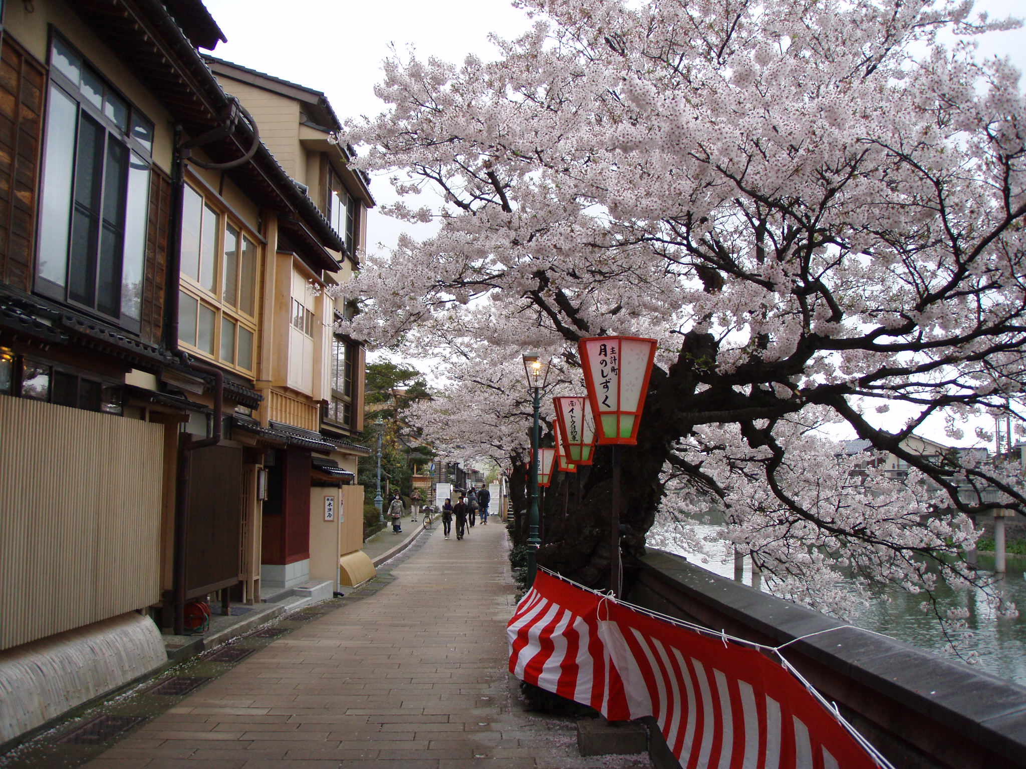 08年3月 4月 サクラサク 金沢にしひがし 金沢 石川県 の旅行記 ブログ By Vegemaruさん フォートラベル 08年3月 4月 サクラサク 金沢にしひがし 金沢 石川県 の旅行記 ブログ By Vegemaruさん フォートラベル