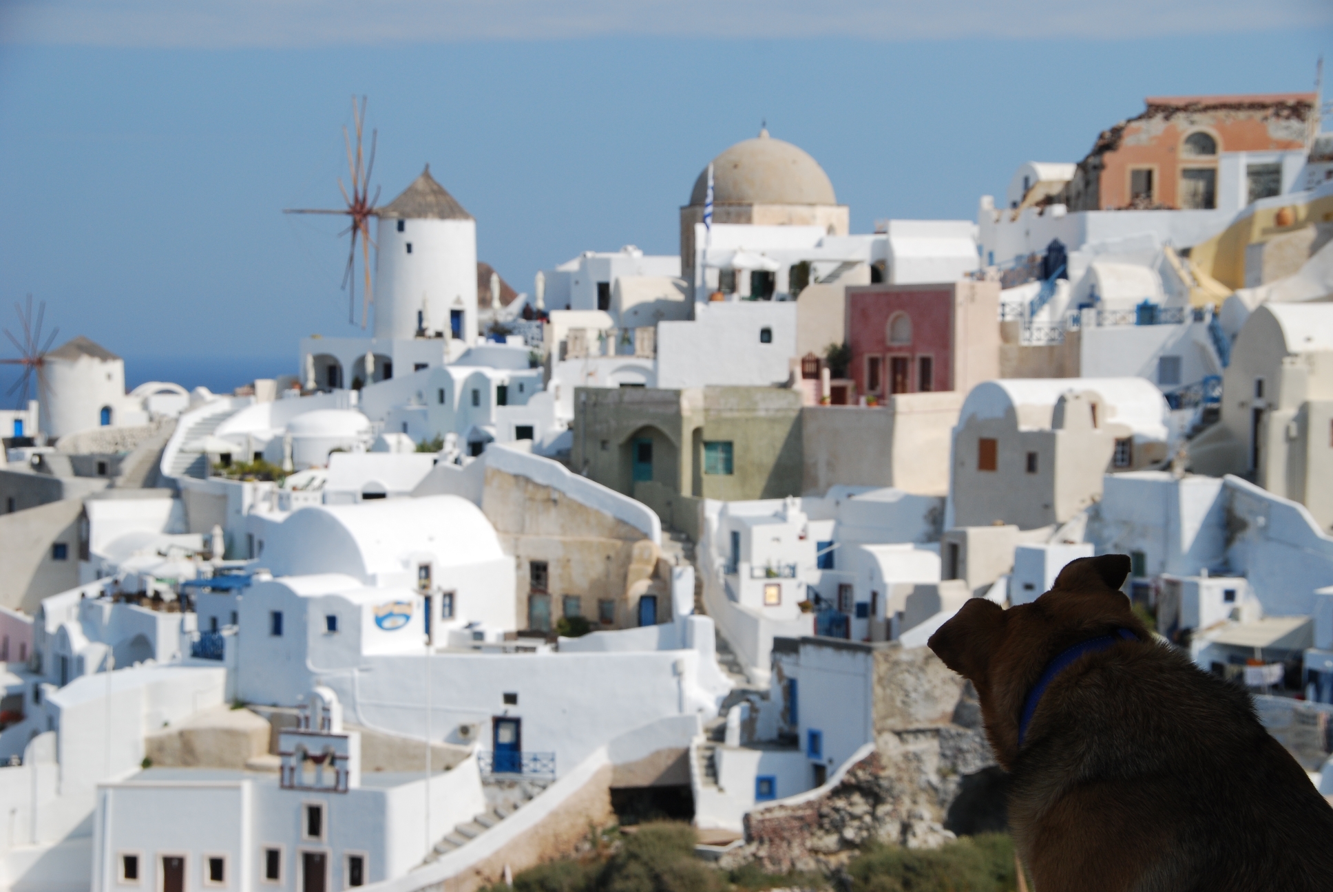 ギリシャ 白い 家 ギリシャ 家 白い 理由