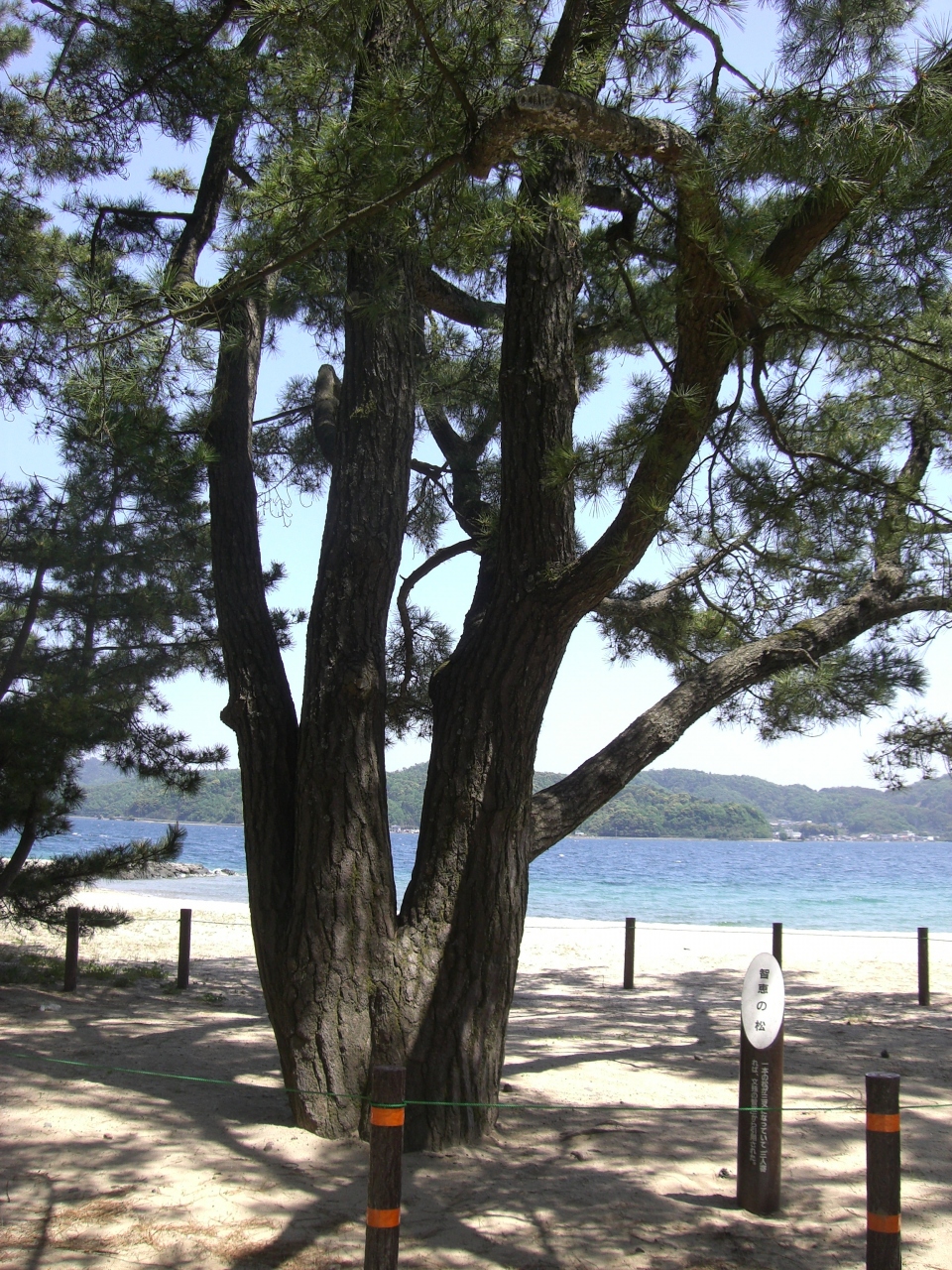 丹後半島 天橋立 伊根の舟屋 経ヶ岬 琴引浜 丹後半島 京都 の旅行記 ブログ By ピノコ コトンさん フォートラベル