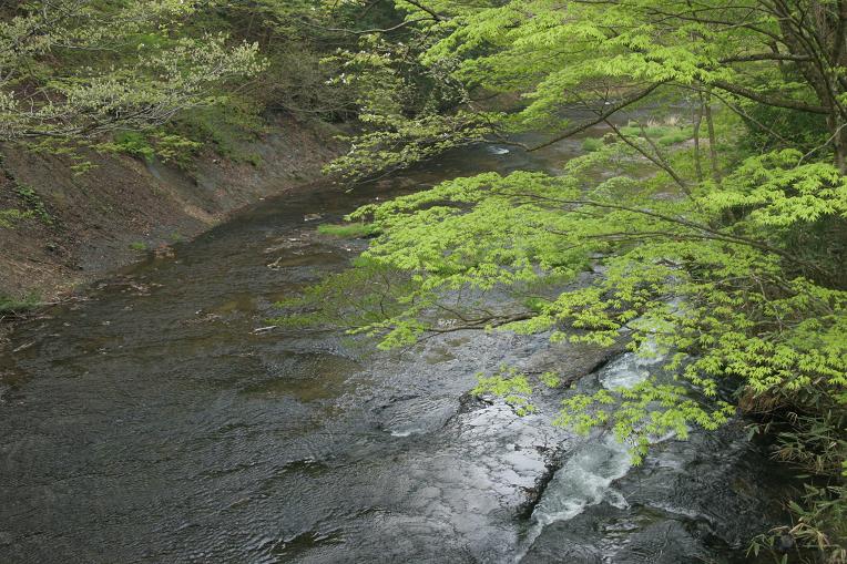 08年４月 東北旅行 花巻温泉 岩手県の旅行記 ブログ By Pontyanさん フォートラベル