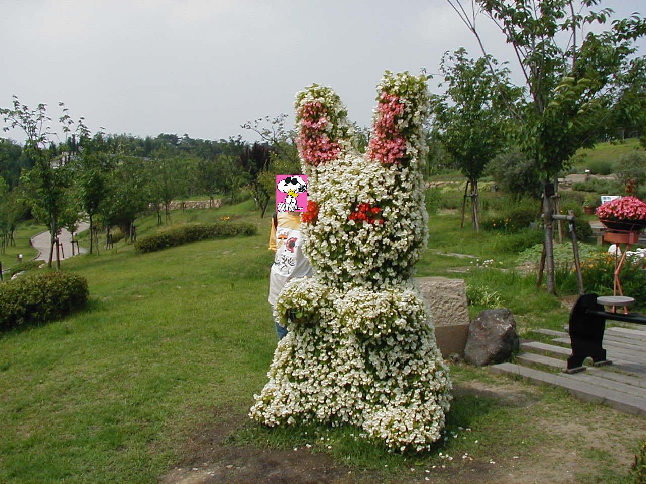 宇治植物園にハーブを見に行きました 宇治 京都 の旅行記 ブログ By Joecoolさん フォートラベル