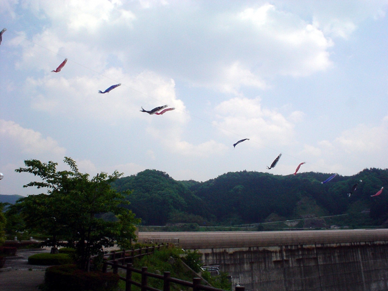 紀伊半島山中サイクル1 一志郡美杉村 津 三重県 の旅行記 ブログ By アリヤンさん フォートラベル 紀伊半島山中サイクル1 一志郡美杉村 津 三重県 の旅行記 ブログ By アリヤンさん フォートラベル