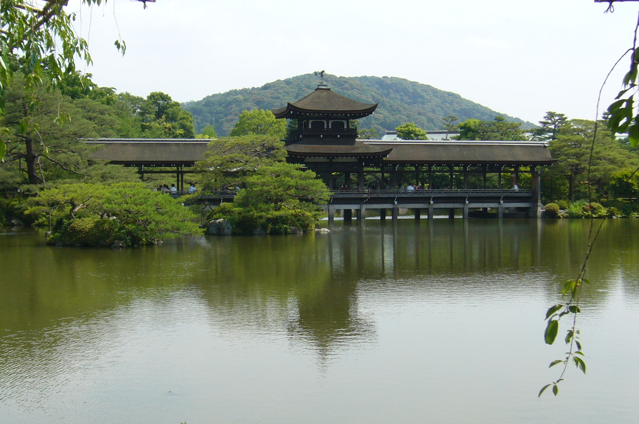 京都名庭１００選 14 梅雨の花めぐり３ 平安神宮 京都の旅行記 ブログ By Bachさん フォートラベル