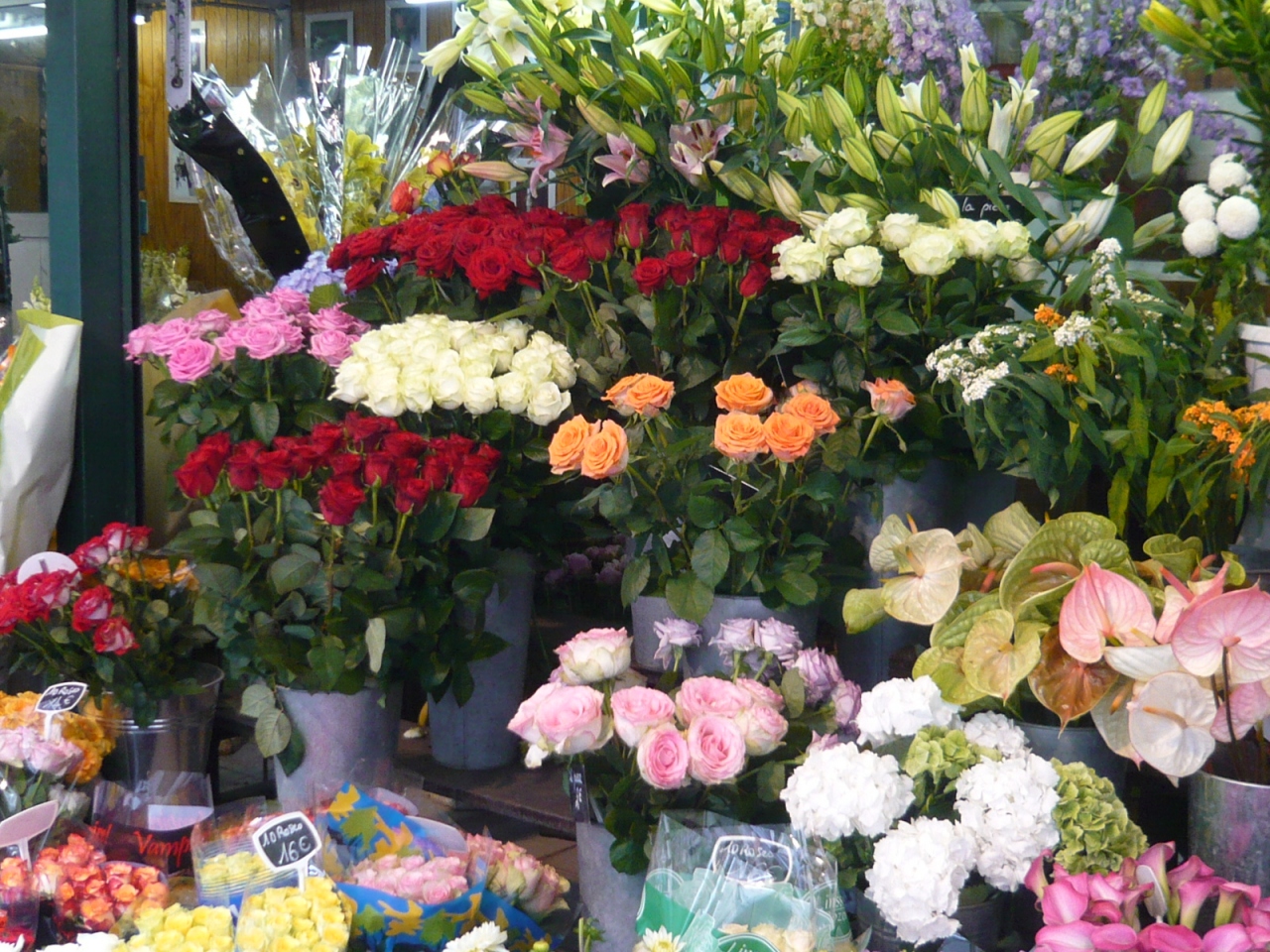 フランスの花たち パリ旅行記番外編 フランスの旅行記 ブログ By Bioraさん フォートラベル