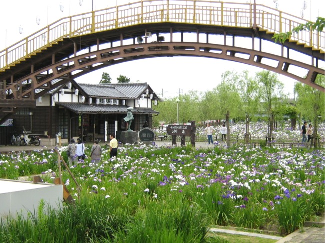 梅雨時のプチ旅行前半 潮来あやめ園 潮来 茨城県 の旅行記 ブログ By まりも母さん フォートラベル 梅雨時のプチ旅行前半 潮来あやめ園 潮来 茨城県 の旅行記 ブログ By まりも母さん フォートラベル