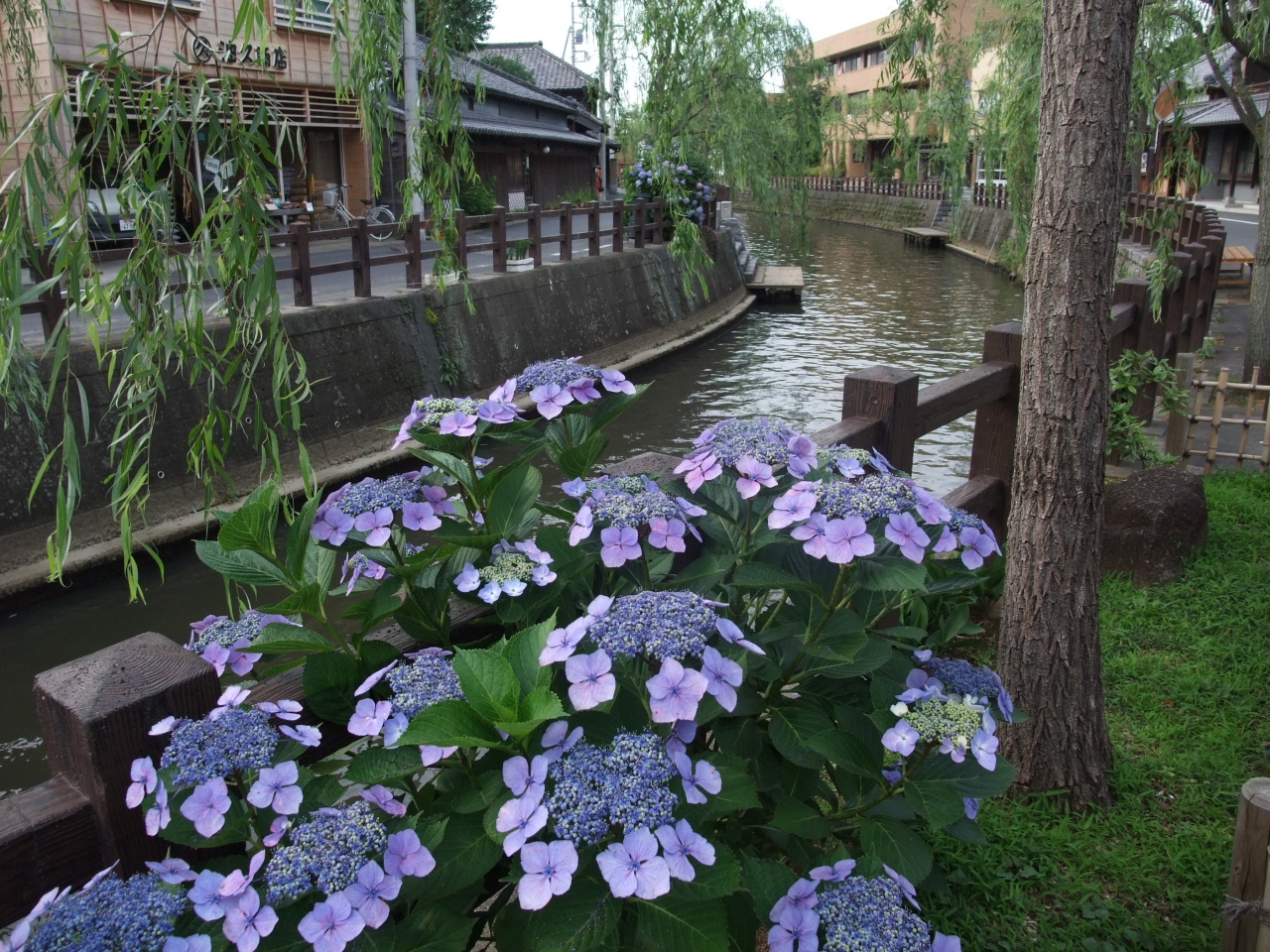 香取 千葉 市 天気 県