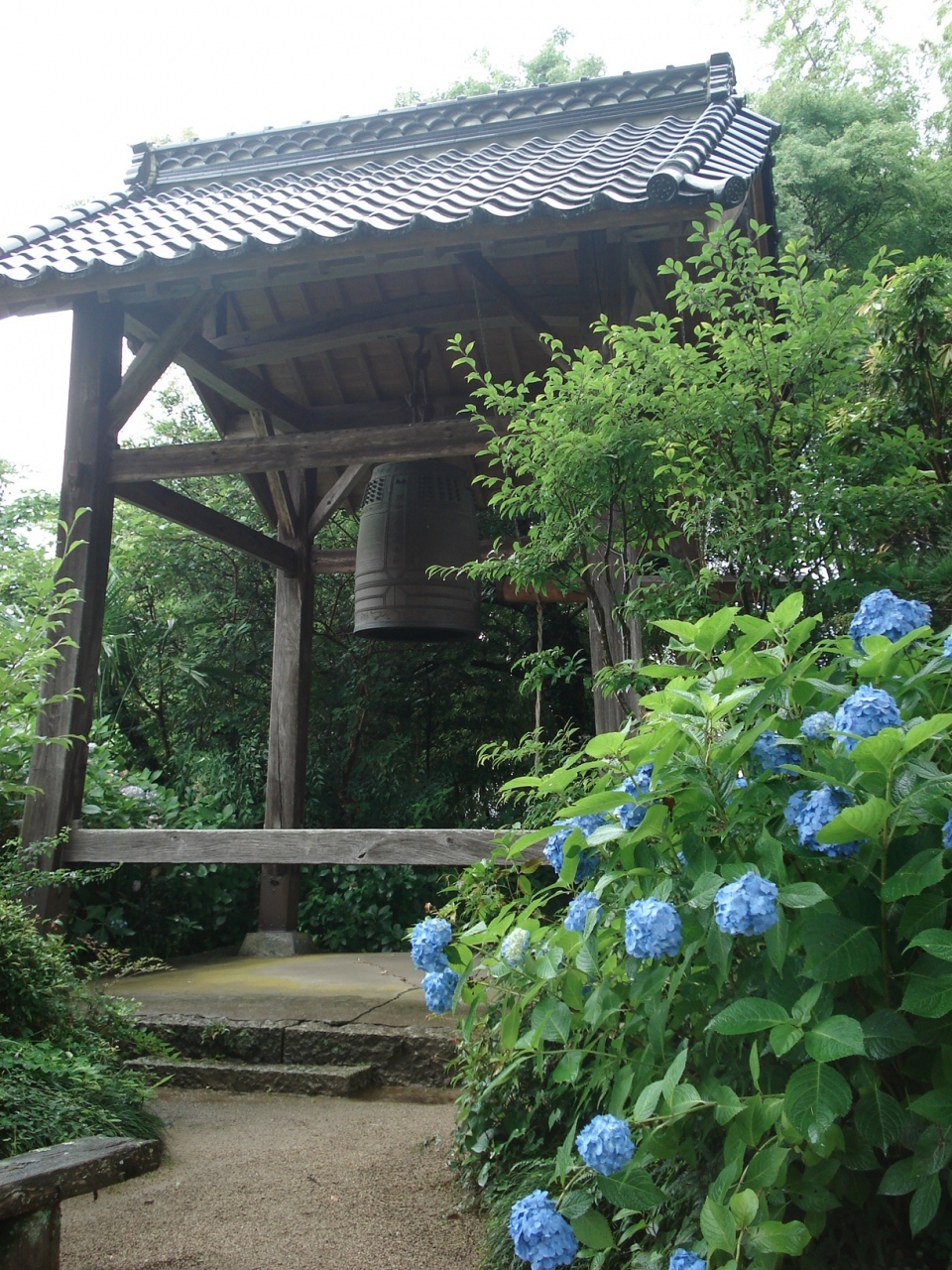 ぶらり美作みてある記 あじさい寺 津山 岡山県 の旅行記 ブログ By たぬち庵さん フォートラベル