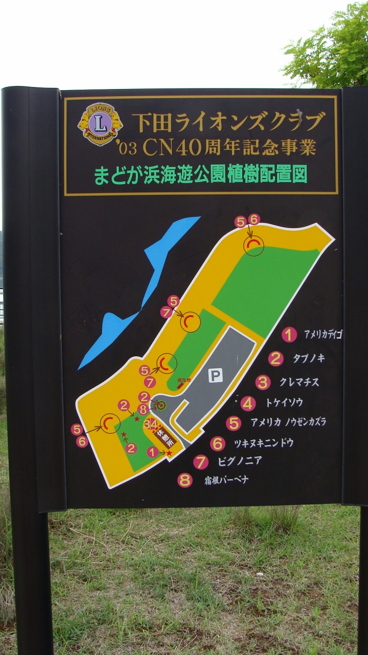まどが浜海遊公園 下田 静岡県 の旅行記 ブログ By Hn11さん フォートラベル