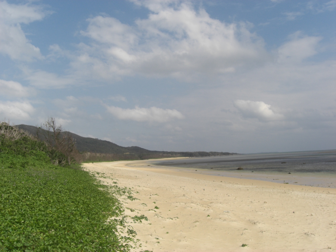西表島 竹富島 石垣島 沖縄県の旅行記 ブログ By Uzさん フォートラベル 西表島 竹富島 石垣島 沖縄県の旅行記 ブログ By Uzさん フォートラベル
