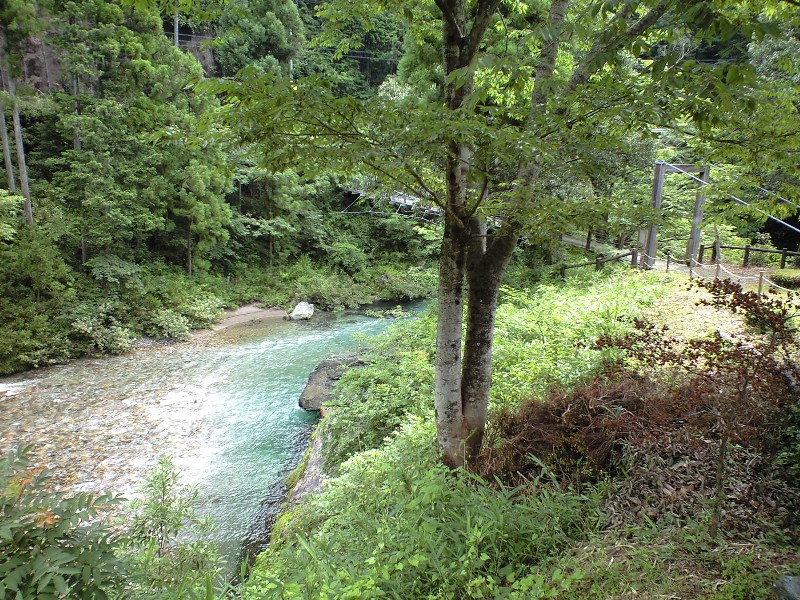 澄んだ水 深い緑に癒されて バーベｑ ｉｎ美山 本巣 山県 岐阜県 の旅行記 ブログ By さや犬さん フォートラベル