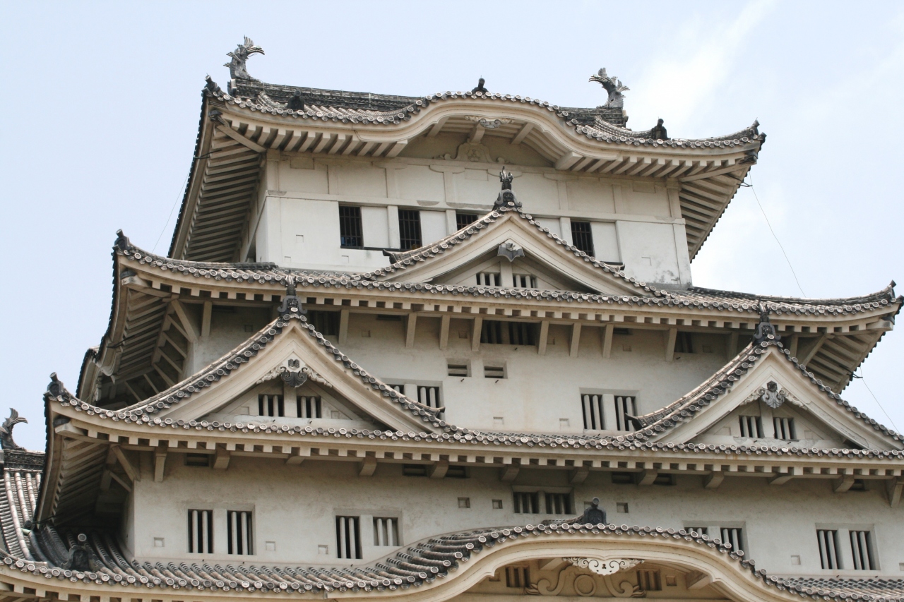 2008夏、世界遺産の姫路城(5:完):7月12日(5):榎古樹、大天守、和釘、歴代城主、籠城設備、お菊井