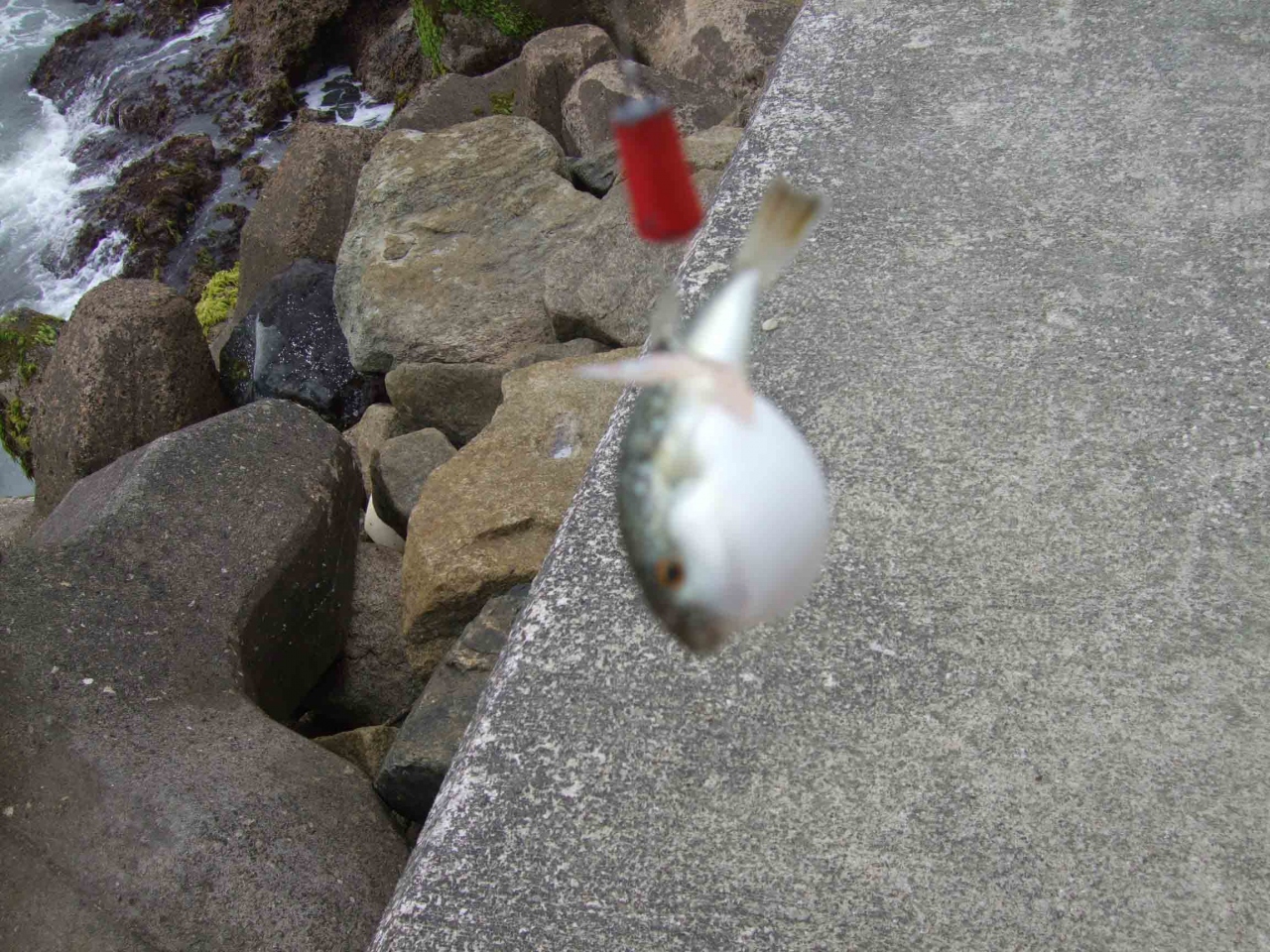 08年07月26日 土 大原漁港脇の八幡岬で長男と釣りをしてきました いすみ 大多喜 千葉県 の旅行記 ブログ By てり Terikara 3テリカラ てりから Terikara 3テリカラさん さん フォートラベル 08年07月26日 土 大原漁港脇の八幡岬で長男と釣りをしてきました いすみ 大多喜 千葉県 の旅行記 ブログ By てり Terikara 3テリカラ てりから Terikara 3テリカラさん さん フォートラベル