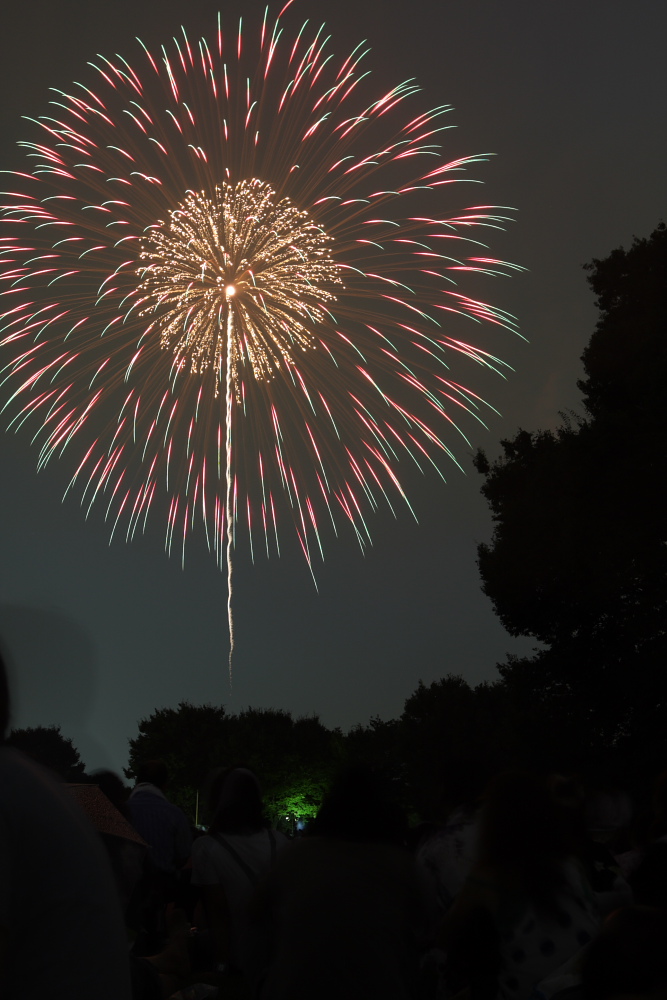キンチョウの夏 日本の夏 立川まつり国営昭和記念公園花火大会08 立川 東京 の旅行記 ブログ By まもちんさん フォートラベル キンチョウの夏 日本の夏 立川まつり国営昭和記念公園花火大会08 立川 東京 の旅行記 ブログ By まもちんさん フォートラベル