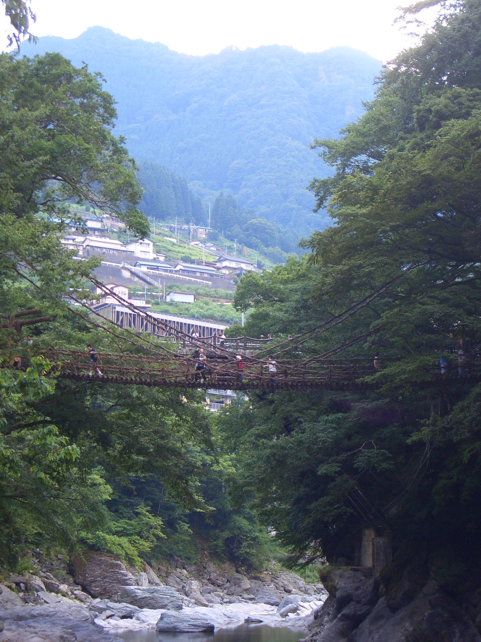 秘境 大歩危 小歩危 祖谷のかずら橋 祖谷渓 かずら橋 大歩危 徳島県 の旅行記 ブログ By つきこさん フォートラベル