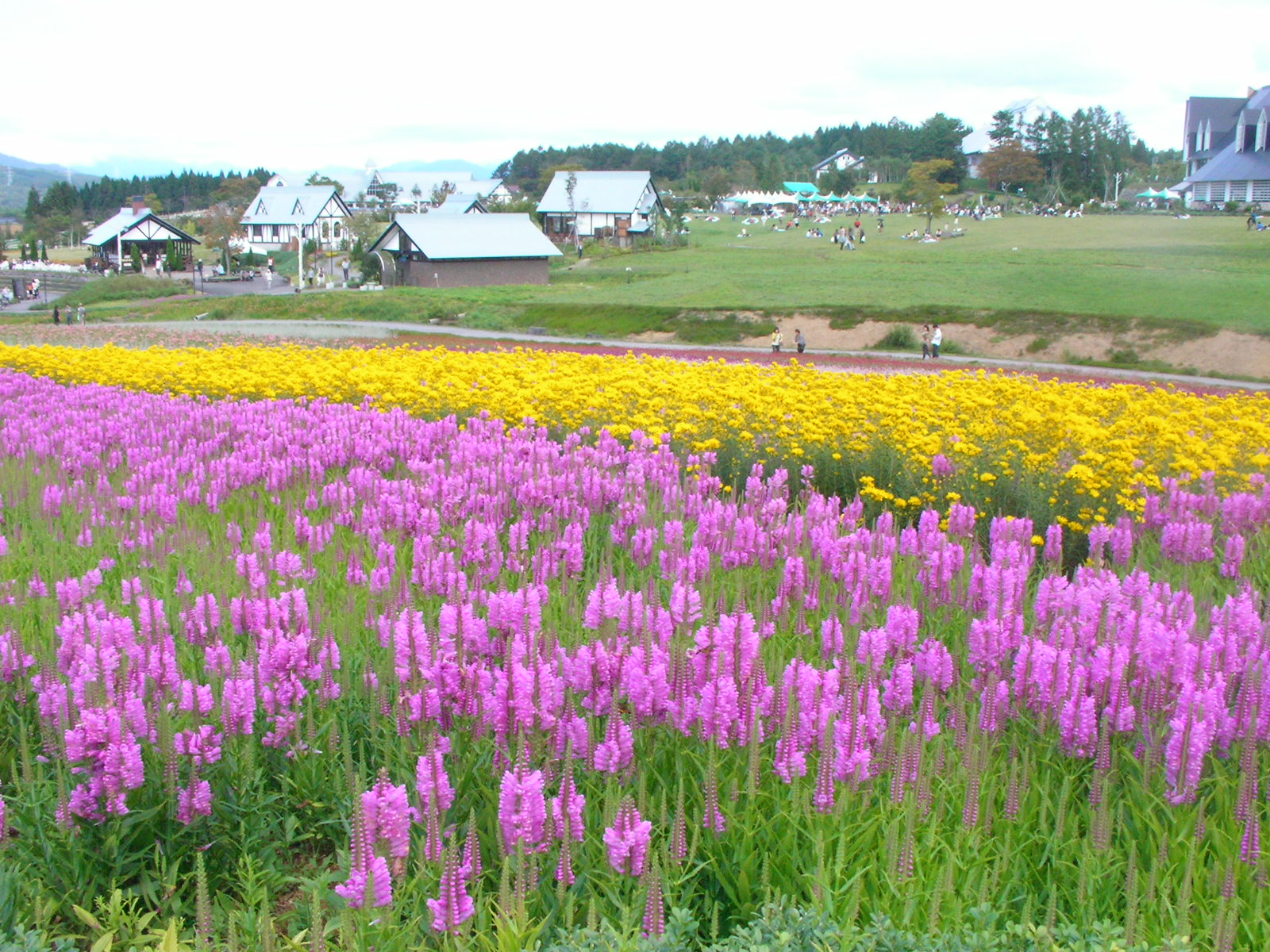 牧歌の里 ひるがの高原 鷲ヶ岳 岐阜県 の旅行記 ブログ By ふまりさん フォートラベル
