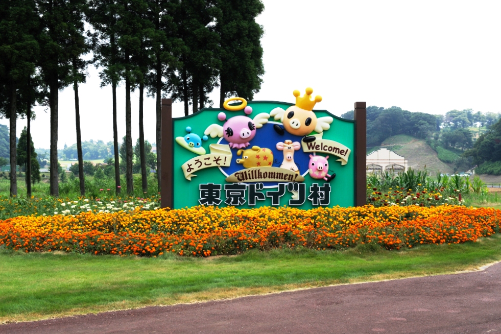 花と緑の東京ドイツ村 袖ヶ浦 千葉県 の旅行記 ブログ By Whiteroadさん フォートラベル