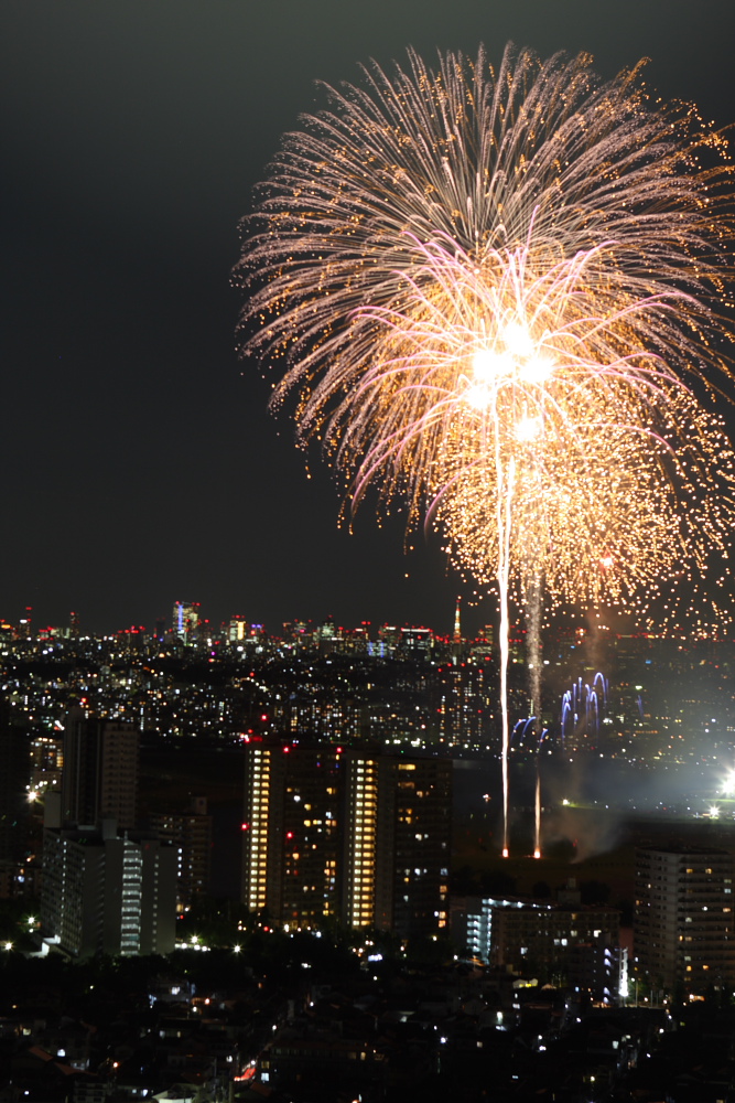空から見る 大田区平和都市宣言記念事業 花火の祭典 羽田 東京 の旅行記 ブログ By まもちんさん フォートラベル