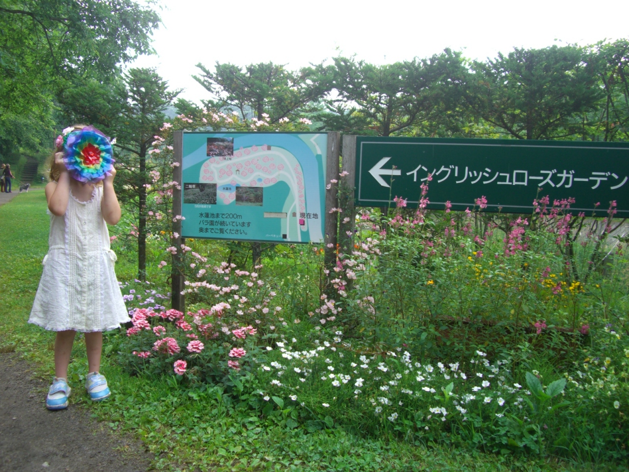長野県内花めぐり 軽井沢 タリアセン バラフェスティバル 長野県の旅行記 ブログ By Minuminuさん フォートラベル 長野県内花めぐり 軽井沢 タリアセン バラフェスティバル 長野県の旅行記 ブログ By Minuminuさん フォートラベル