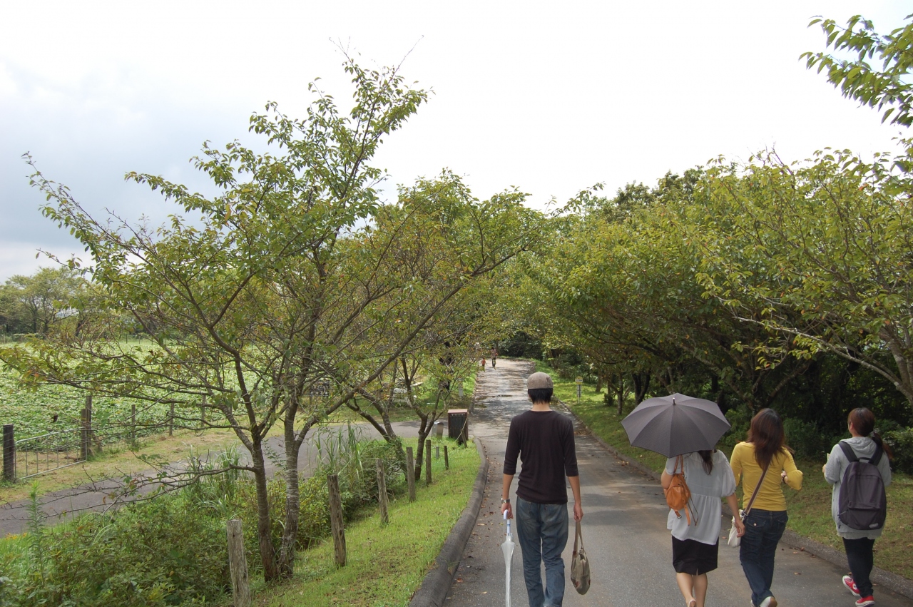 女4人 A マザー牧場の旅 エイチ科の遠足 君津 千葉県 の旅行記 ブログ By Ayalavineさん フォートラベル