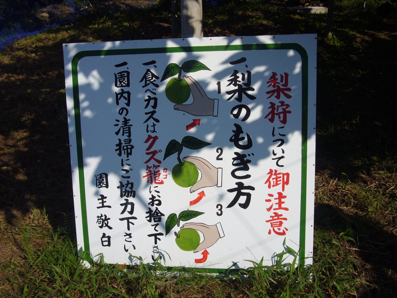 鳥取もええがなぁ 梨狩り お土産編 鳥取市 鳥取県 の旅行記 ブログ By いまじさん フォートラベル 鳥取もええがなぁ 梨狩り お土産編 鳥取市 鳥取県 の旅行記 ブログ By いまじさん フォートラベル