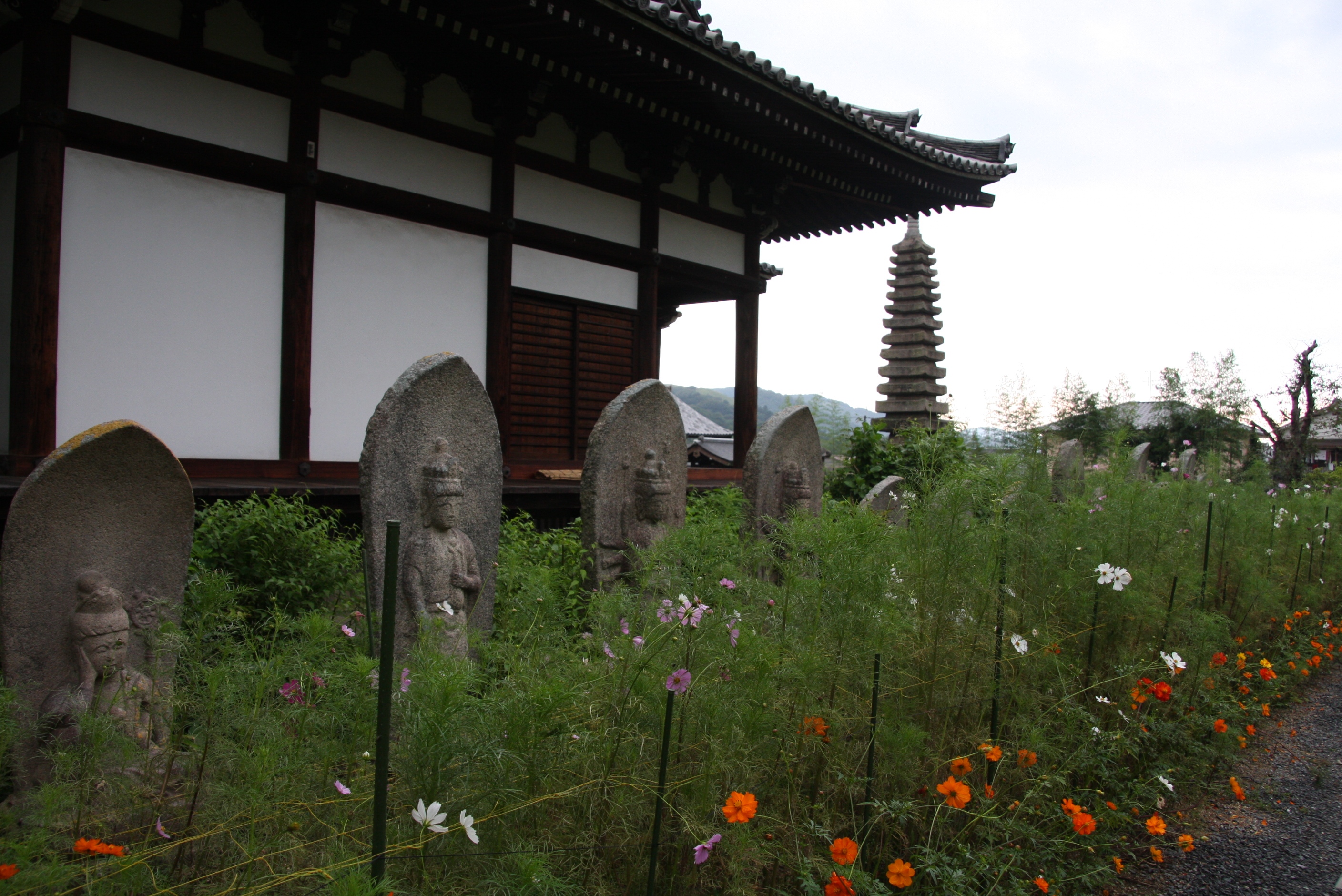 奈良散策 コスモス咲く般若寺 奈良市 奈良県 の旅行記 ブログ By Morino296さん フォートラベル 奈良散策 コスモス咲く般若寺 奈良市 奈良県 の旅行記 ブログ By Morino296さん フォートラベル