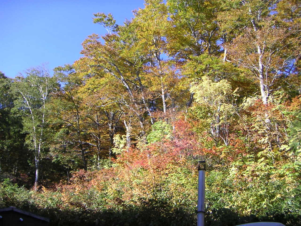 秋の黒部ダム 大町 長野県 の旅行記 ブログ By ジャカランダさん フォートラベル 秋の黒部ダム 大町 長野県 の旅行記 ブログ By ジャカランダさん フォートラベル
