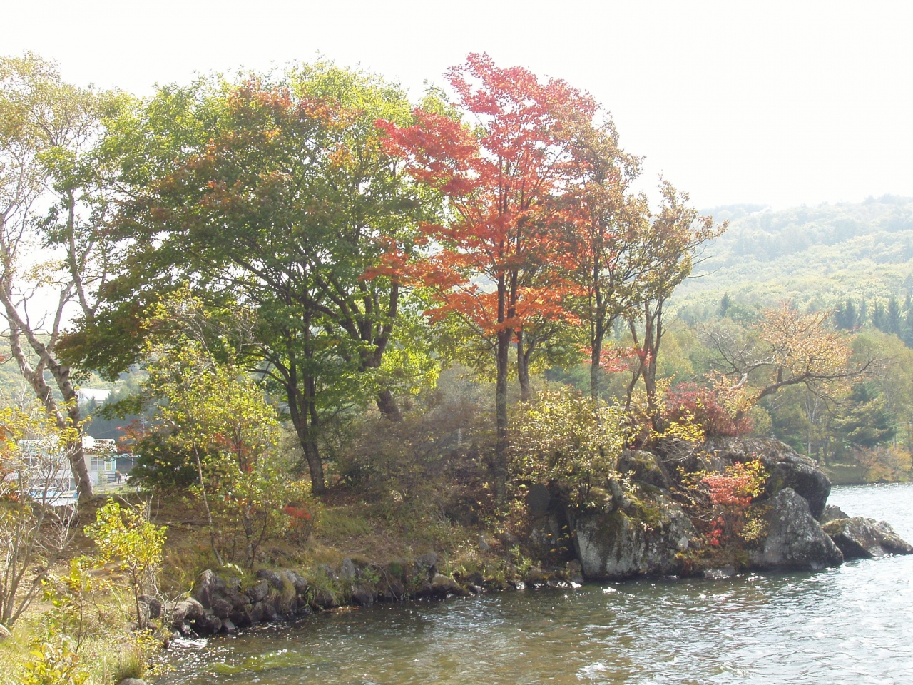 白樺湖旅行 白樺湖 蓼科 車山 長野県 の旅行記 ブログ By マスカラス さん フォートラベル