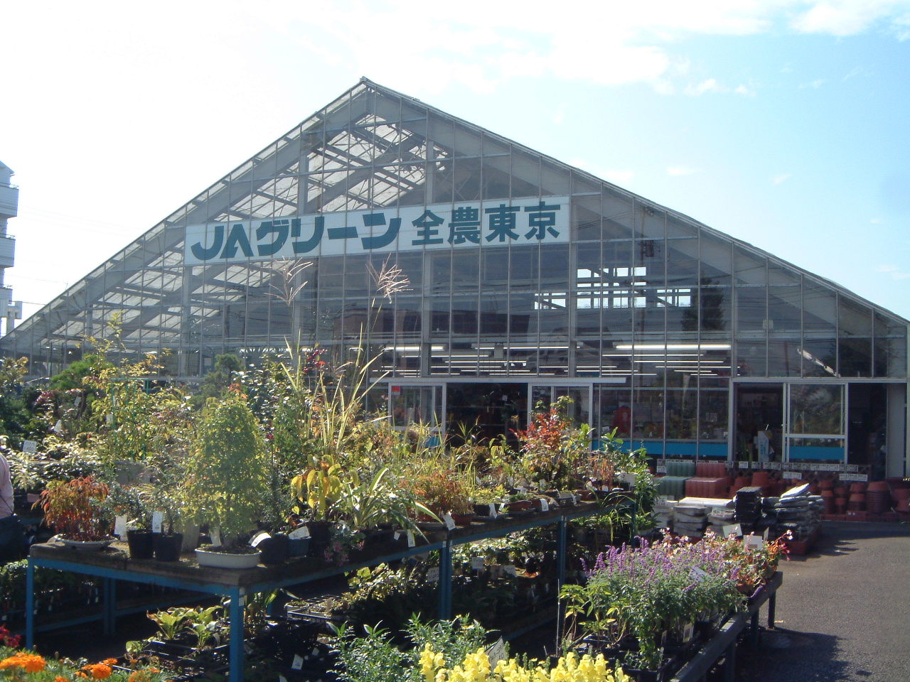 お花を買いに昭島のja全農東京へ 多摩 東京 の旅行記 ブログ By ラルフさん フォートラベル お花を買いに昭島のja全農東京へ 多摩 東京 の旅行記 ブログ By ラルフさん フォートラベル