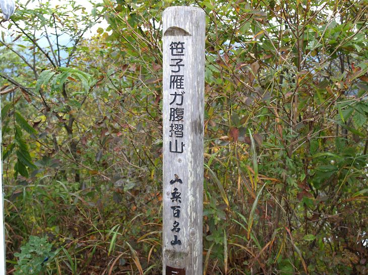 笹子雁ヶ腹摺山から米沢山 お坊山 大鹿峠そして景徳院へ 山梨県の旅行記 ブログ By 敏じぃさん フォートラベル