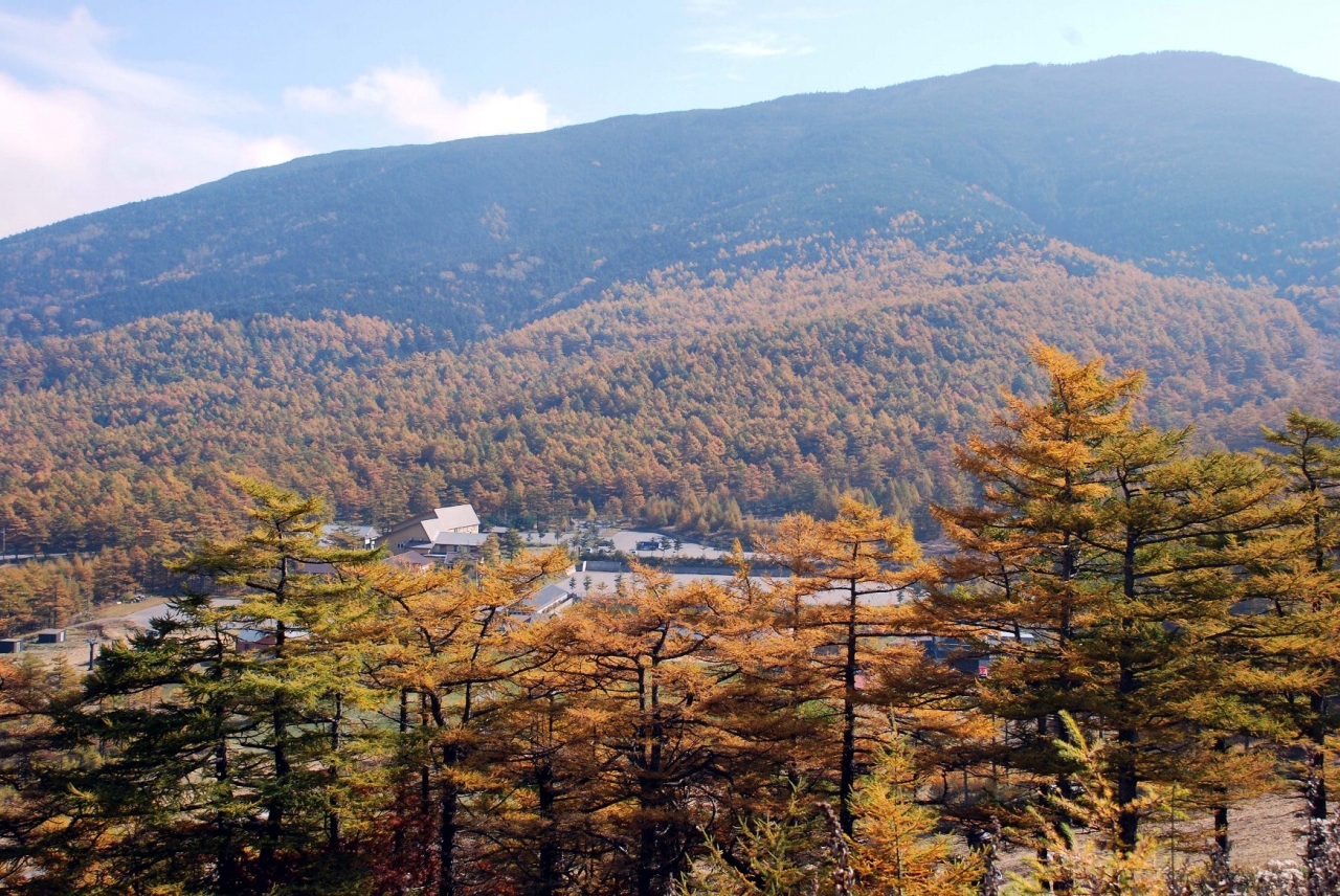 紅葉の高峰高原へ 小諸 御代田 長野県 の旅行記 ブログ By ラルフさん フォートラベル 紅葉の高峰高原へ 小諸 御代田 長野県 の旅行記 ブログ By ラルフさん フォートラベル