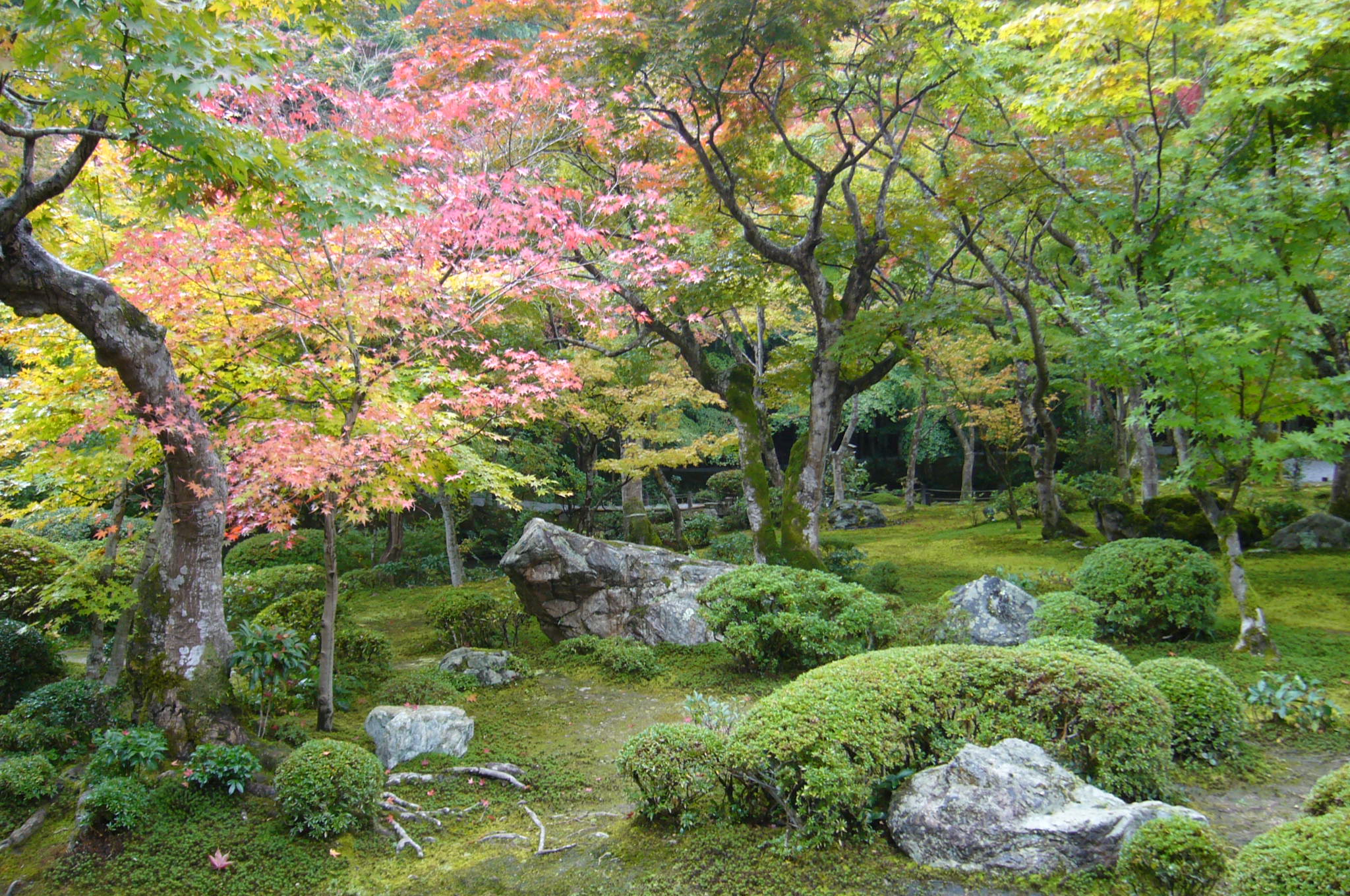 京都名庭100選(21) 染まりゆく秋巡りスタート(2) 「蓮華寺」、「圓光寺」、「圓通寺」