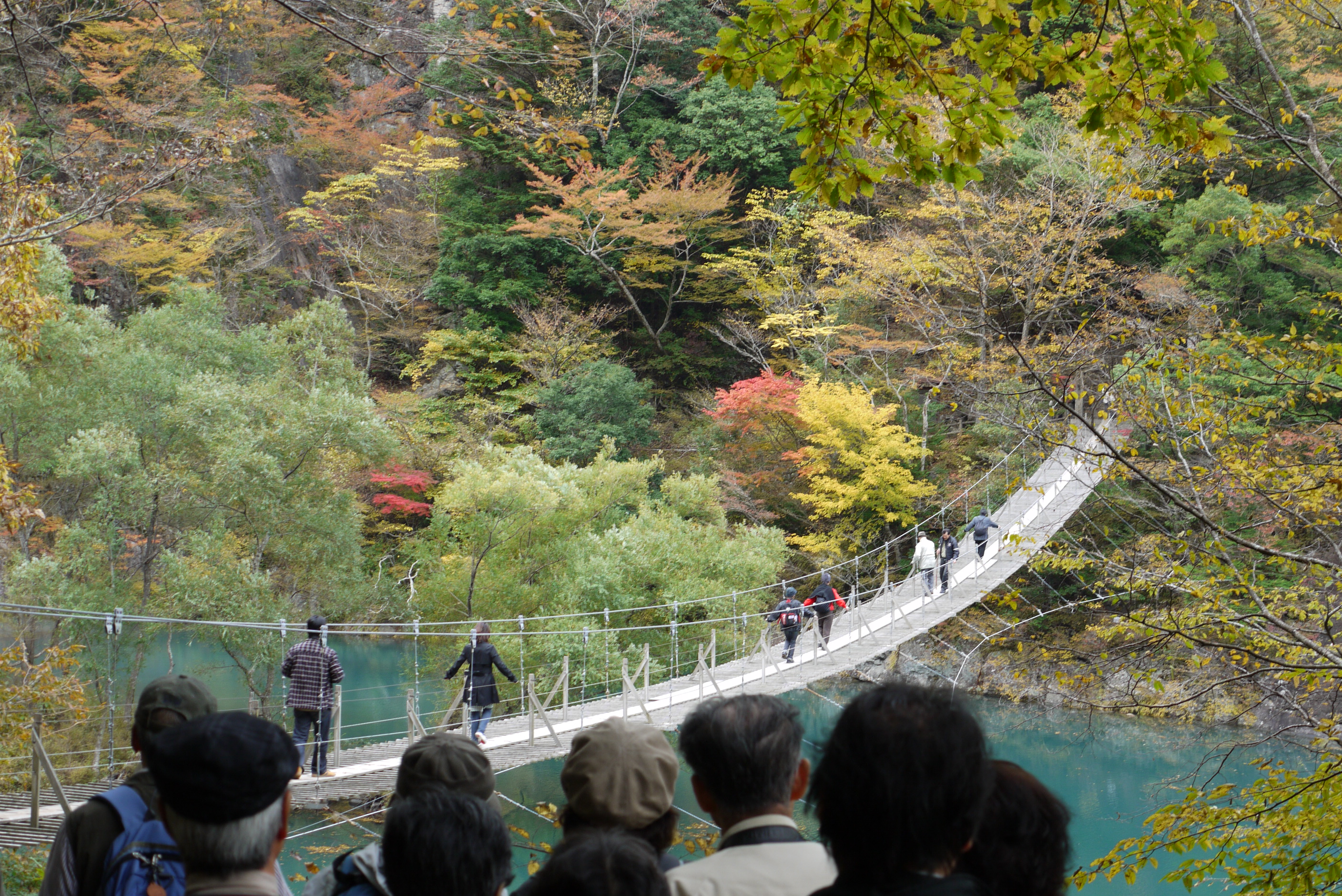 紅葉の寸又峡プロムナードウォークへ 寸又峡温泉 静岡県 の旅行記 ブログ By Tanakaさん フォートラベル