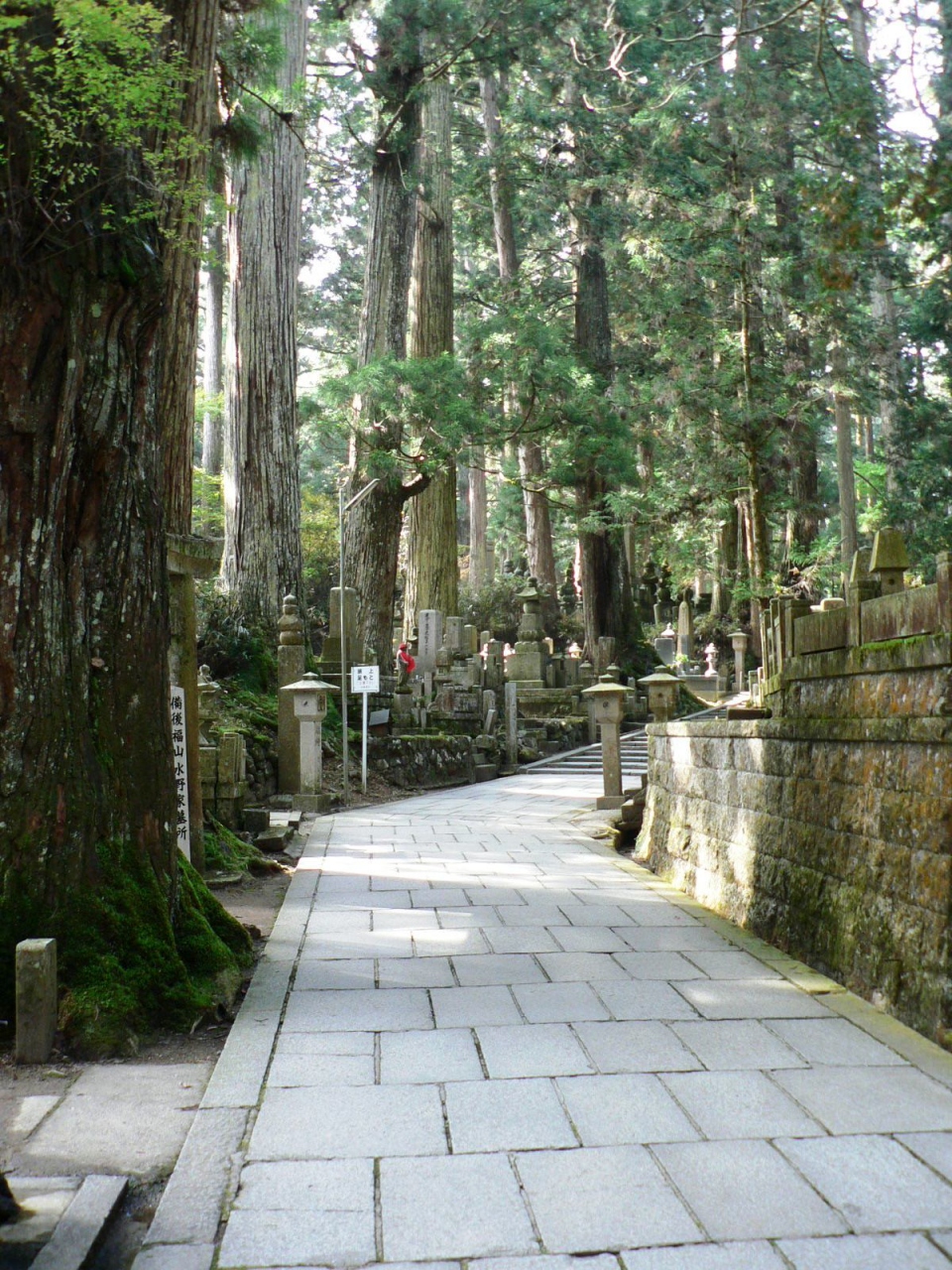 日本の旅 関西を歩く 神秘的な高野山 奥の院の参道 高野山周辺 和歌山県 の旅行記 ブログ By さすらいおじさんさん フォートラベル 日本の旅 関西を歩く 神秘的な高野山 奥の院の参道 高野山周辺 和歌山県 の旅行記 ブログ By さすらいおじさんさん フォートラベル
