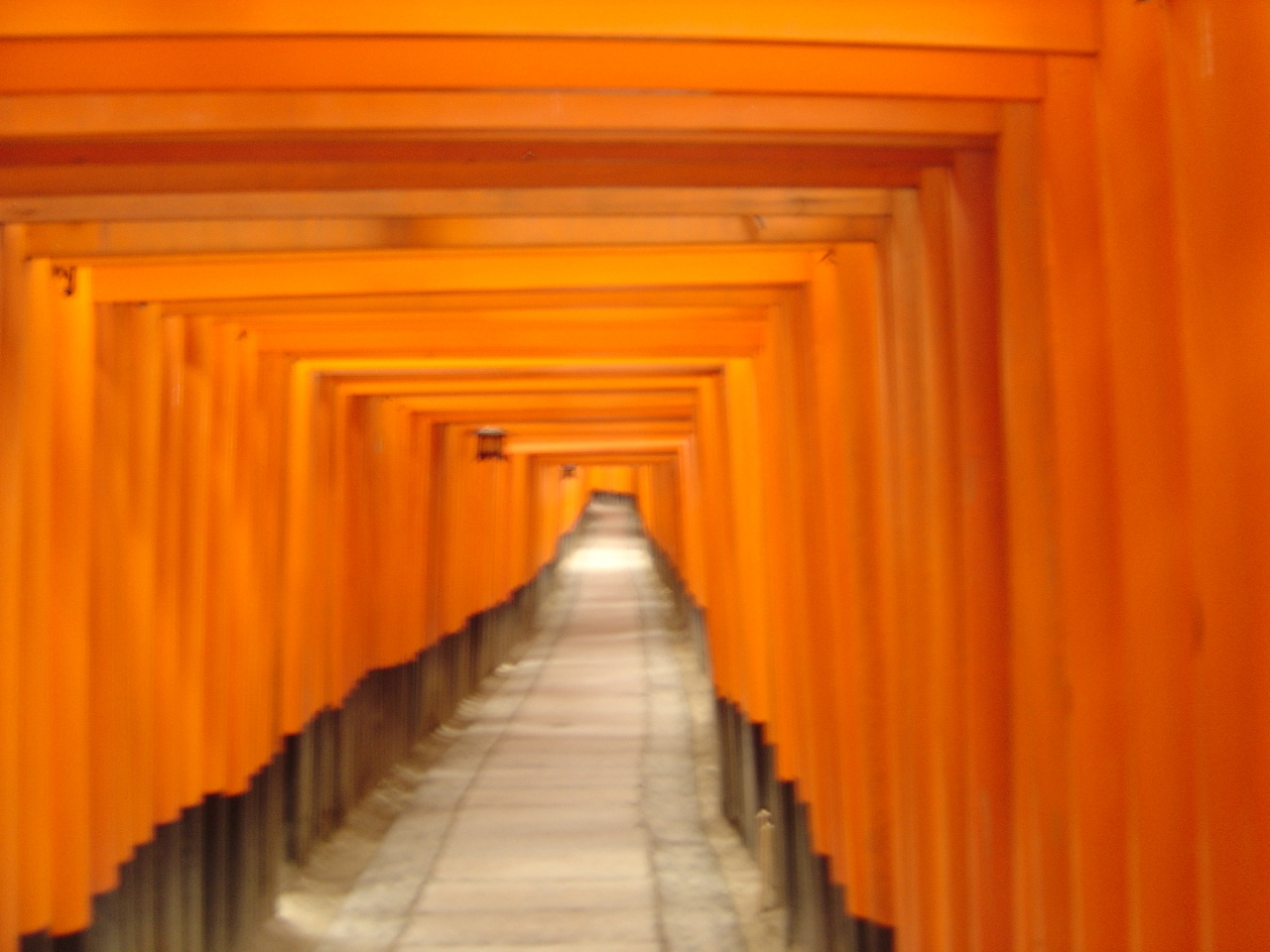 工事中 憧れのあの場所に 伏見 京都 の旅行記 ブログ By Ryoさん フォートラベル 工事中 憧れのあの場所に 伏見 京都 の旅行記 ブログ By Ryoさん フォートラベル