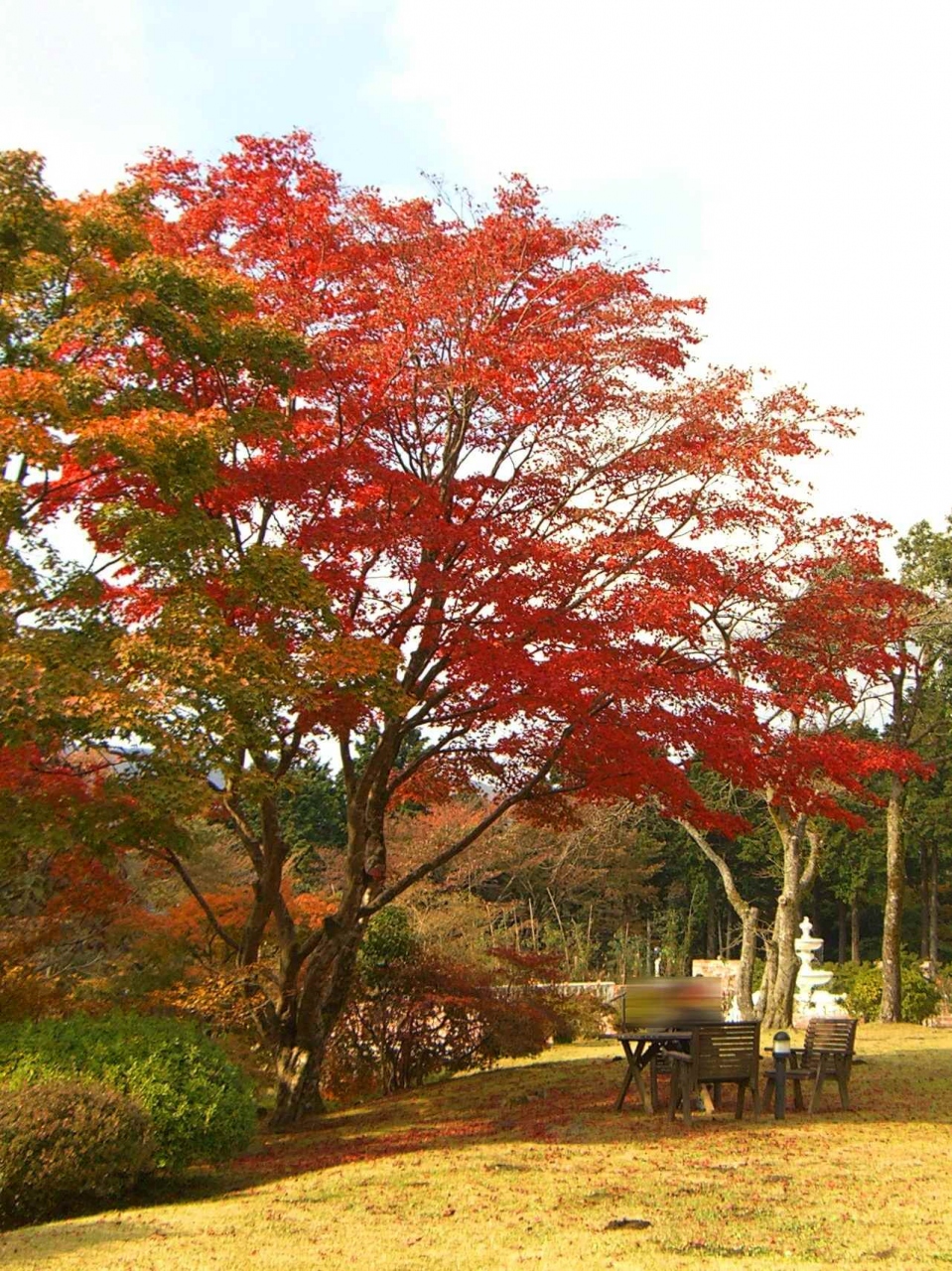 箱根 山のホテルの紅葉 元箱根 芦ノ湖周辺 神奈川県 の旅行記 ブログ By あんみつ姫さん フォートラベル