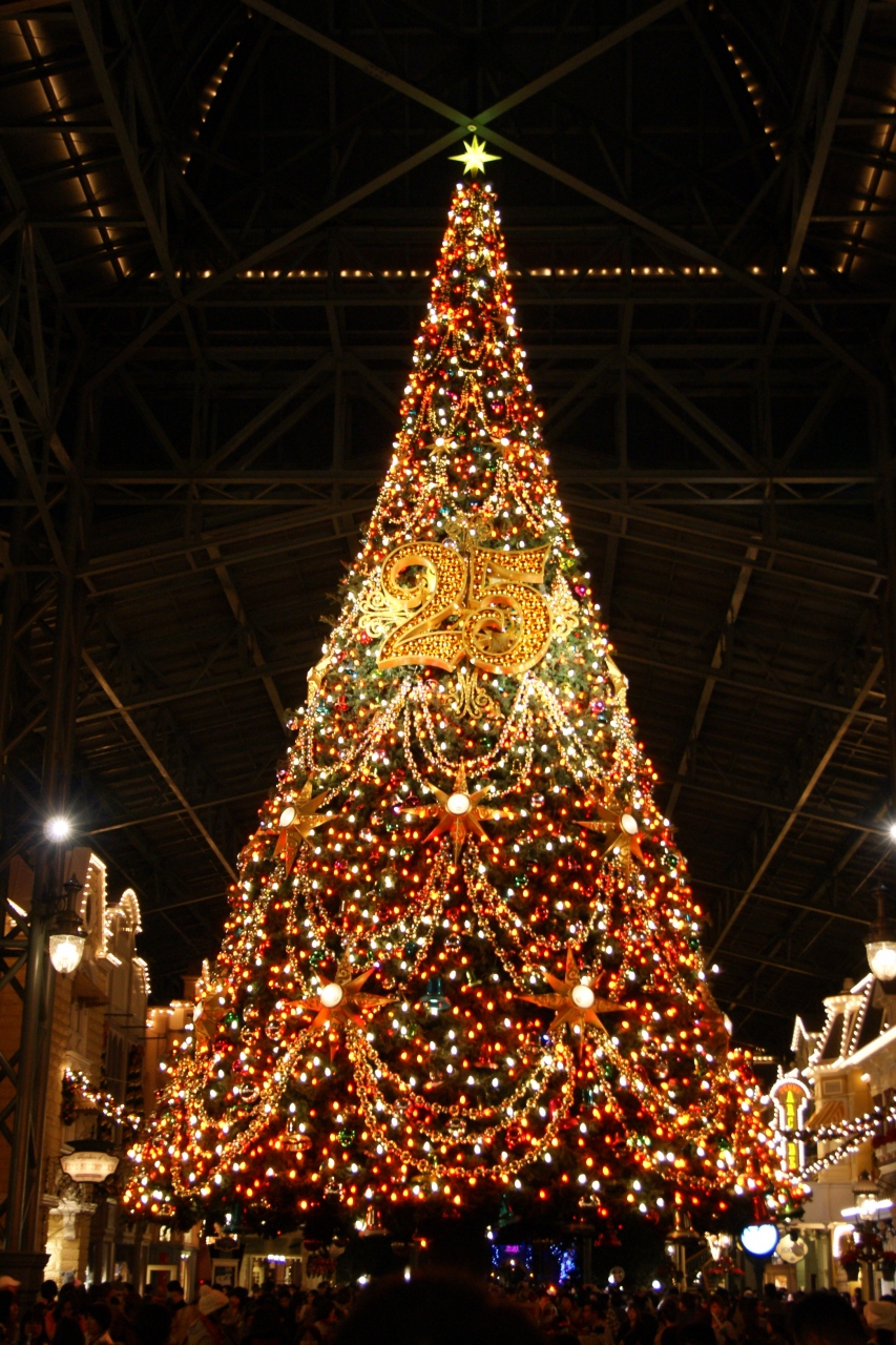 ２００８年 ４歳と１歳の子を連れてる割に中身の濃いクリスマスファンタジー 東京ディズニーリゾート 千葉県 の旅行記 ブログ By Kiyokiyoeさん フォートラベル