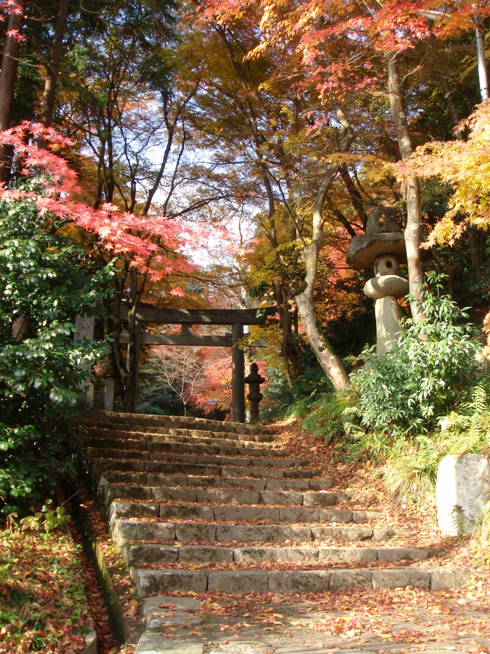 智頭宿へ紅葉狩りに 鳥取県の旅行記 ブログ By グッチさん フォートラベル