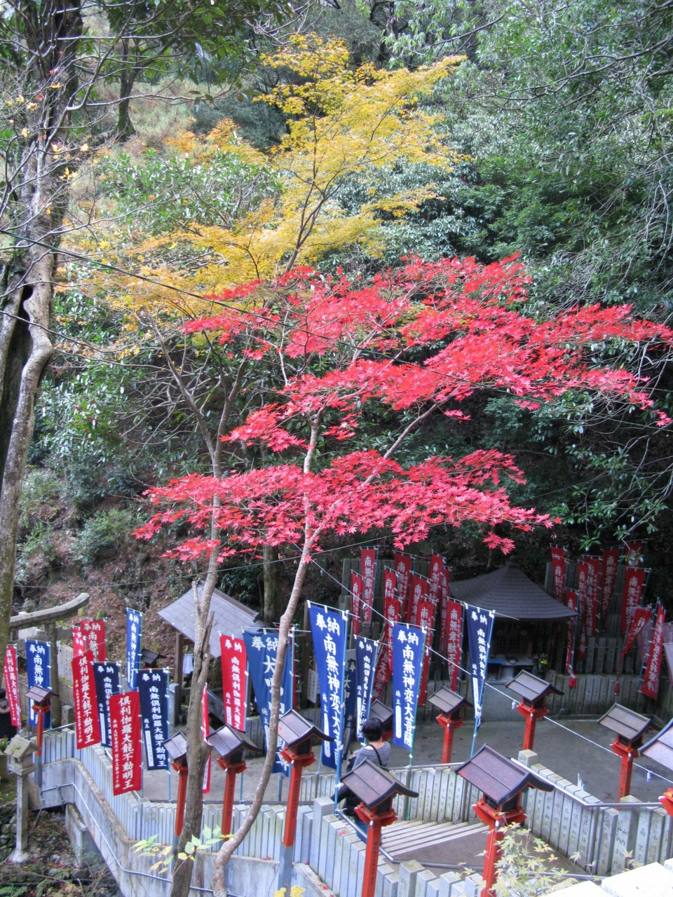 犬鳴山 七宝瀧寺に紅葉をもとめて 関西空港 泉佐野 大阪 の旅行記 ブログ By きよさん フォートラベル